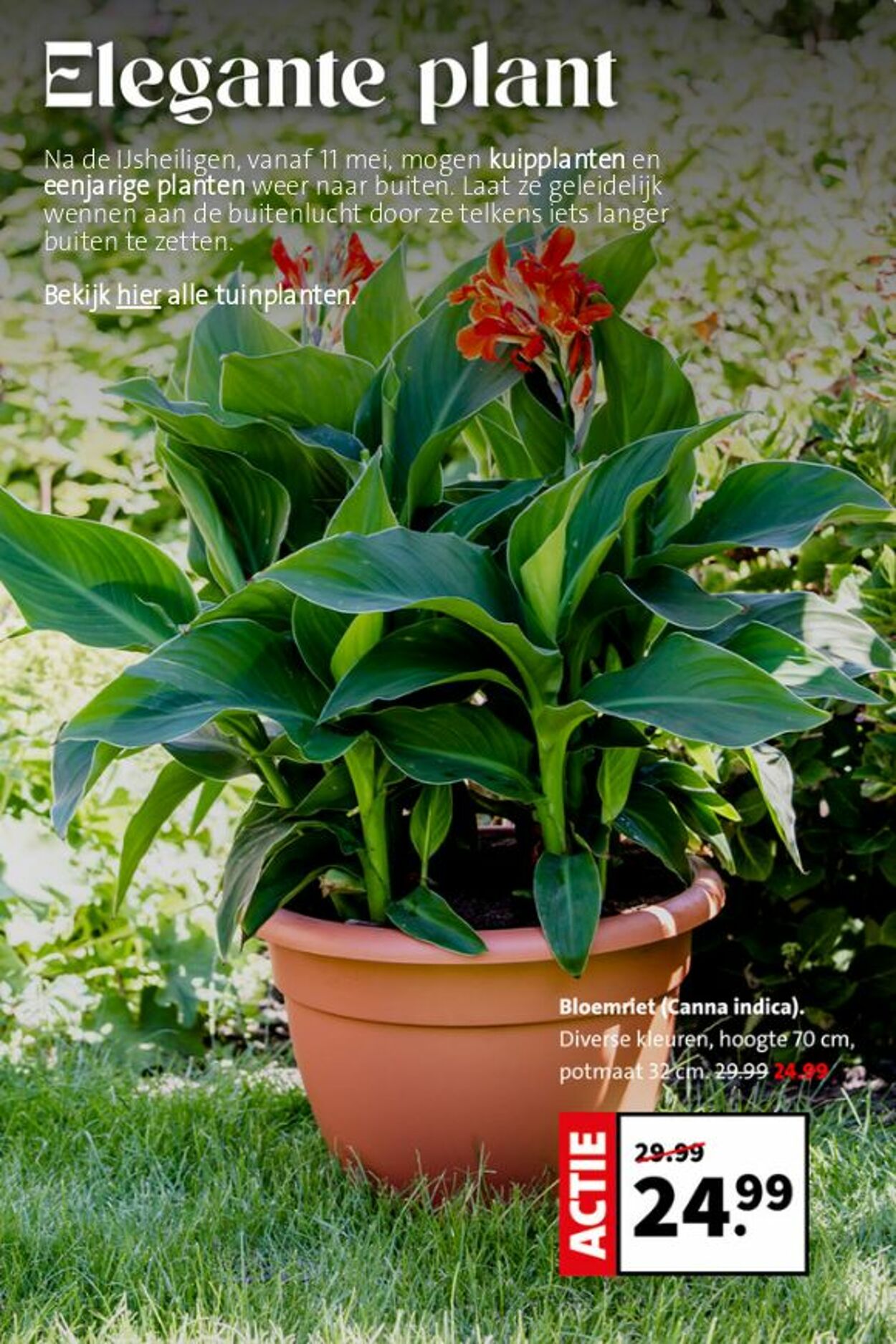 Folder Intratuin 10.05.2026 - 18.05.2026