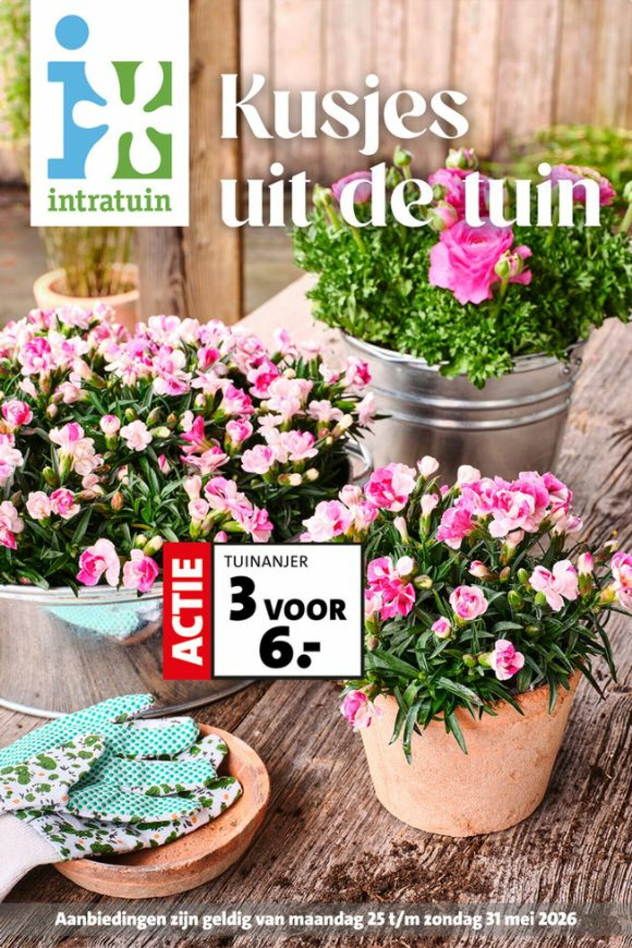 Folder Intratuin 24.05.2026 - 01.06.2026