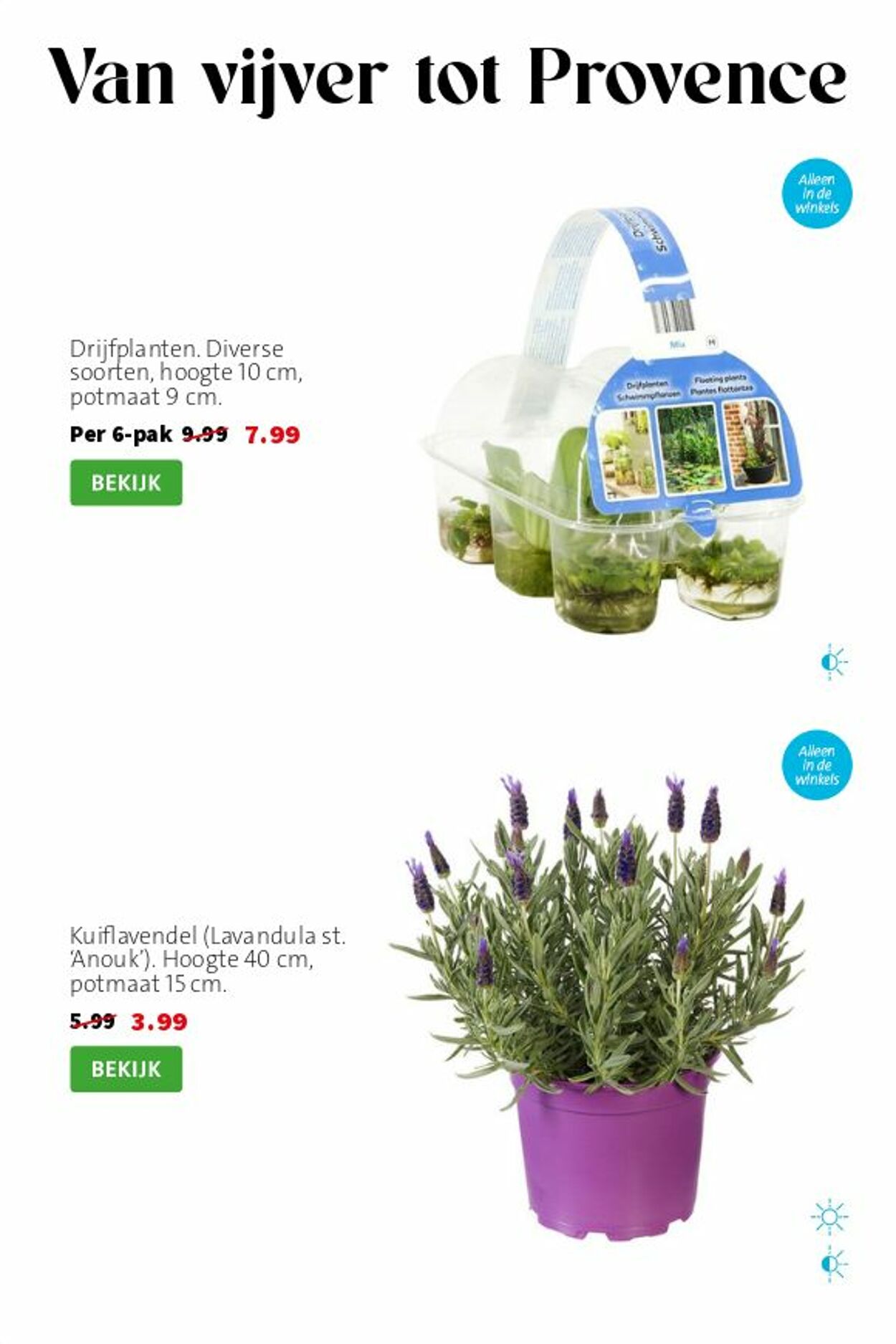 Folder Intratuin 24.05.2026 - 01.06.2026