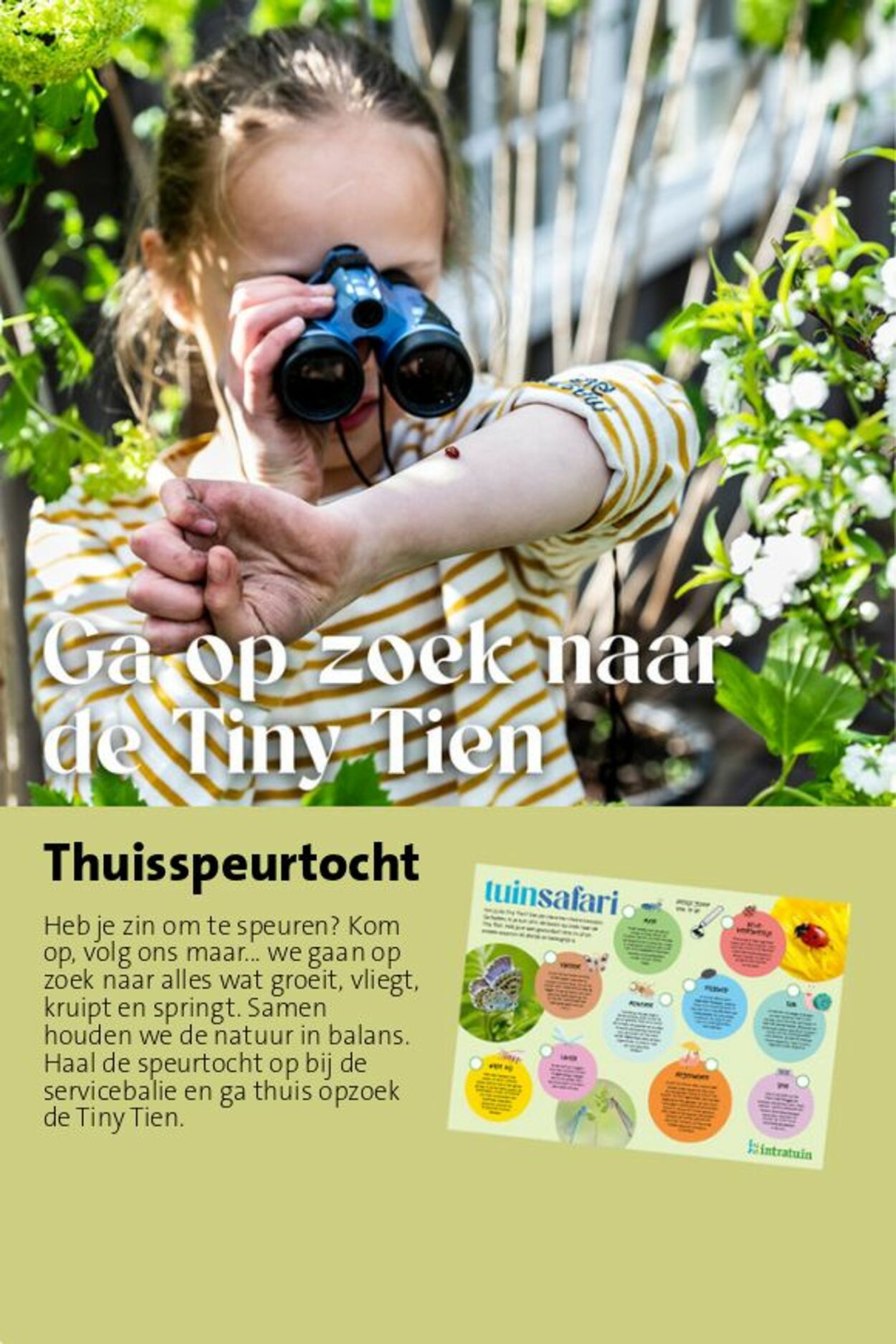 Folder Intratuin 24.05.2026 - 01.06.2026