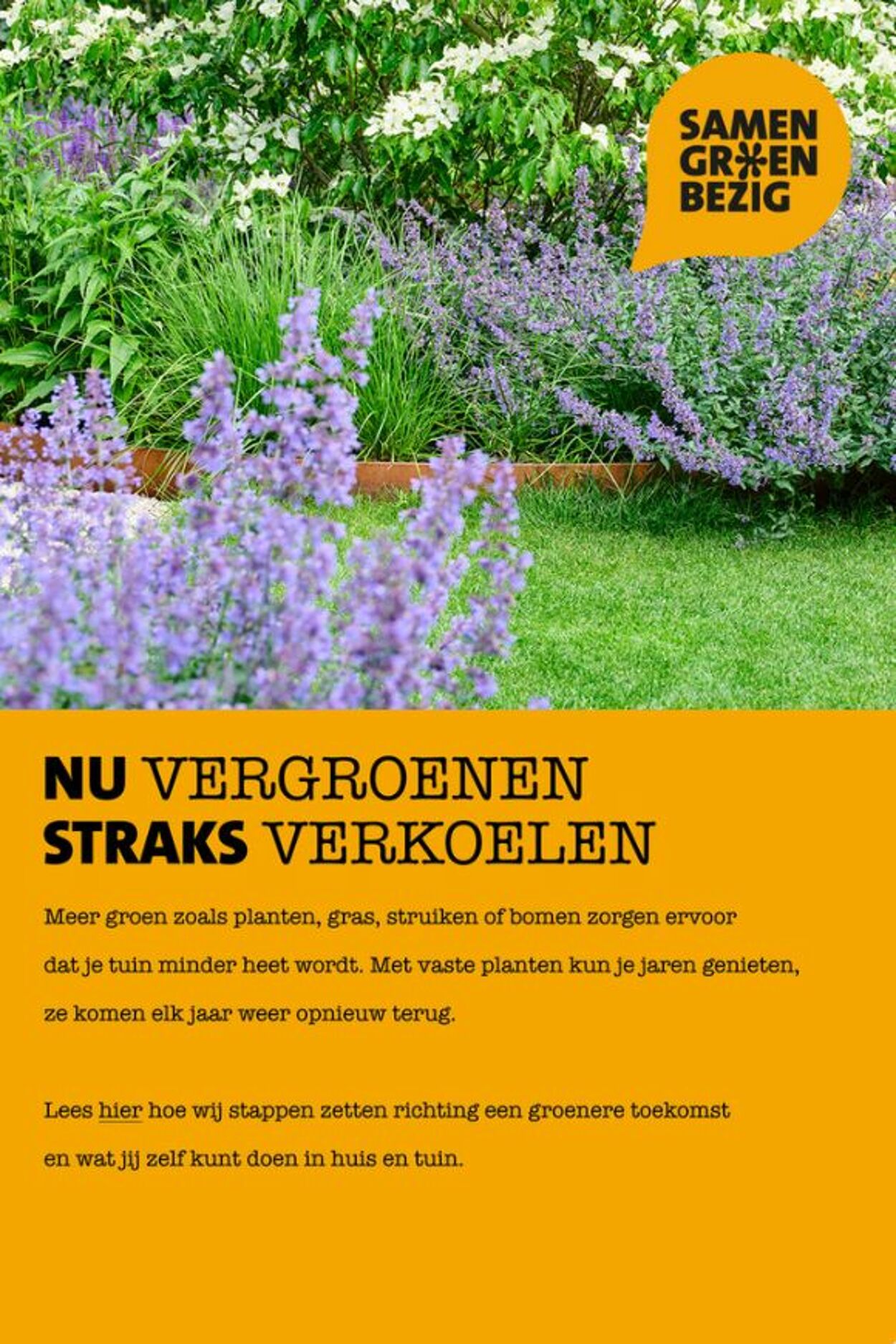 Folder Intratuin 24.05.2026 - 01.06.2026