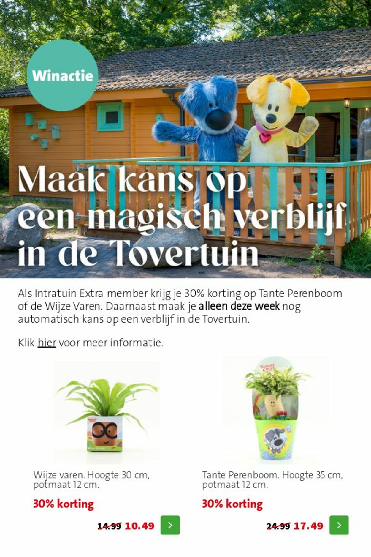 Folder Intratuin 24.05.2026 - 01.06.2026