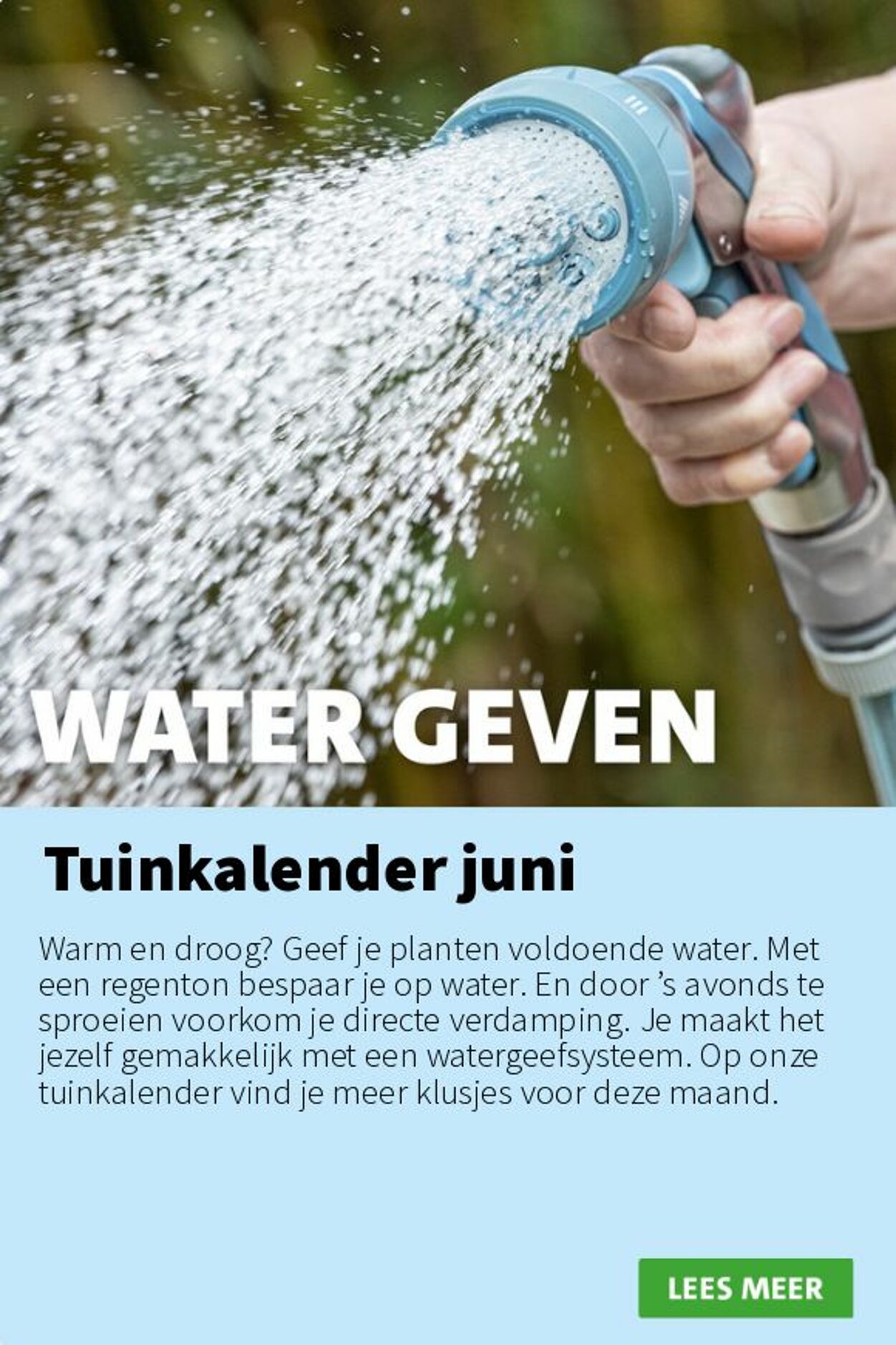 Folder Intratuin 02.06.2025 - 08.06.2025