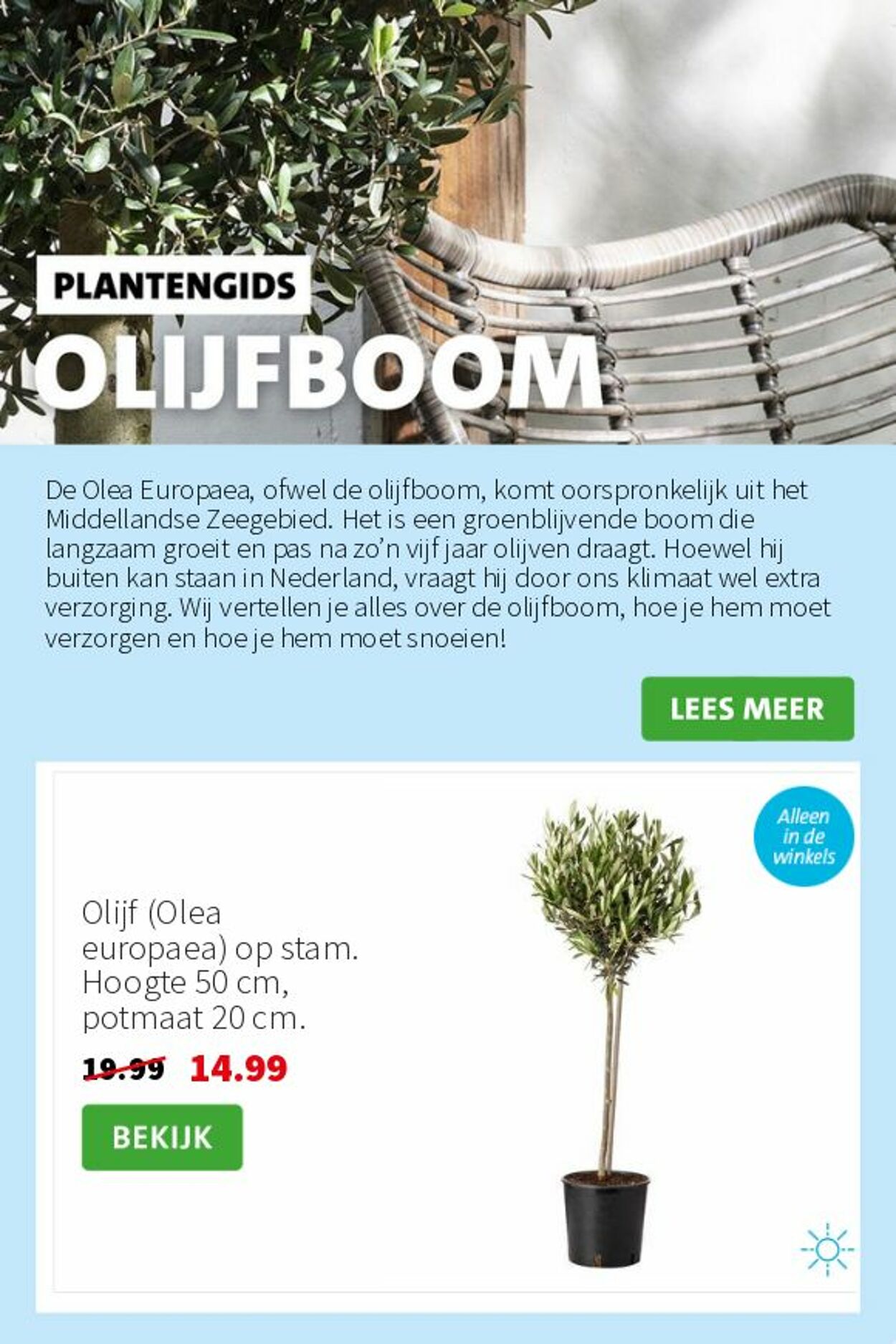 Folder Intratuin 02.06.2025 - 08.06.2025