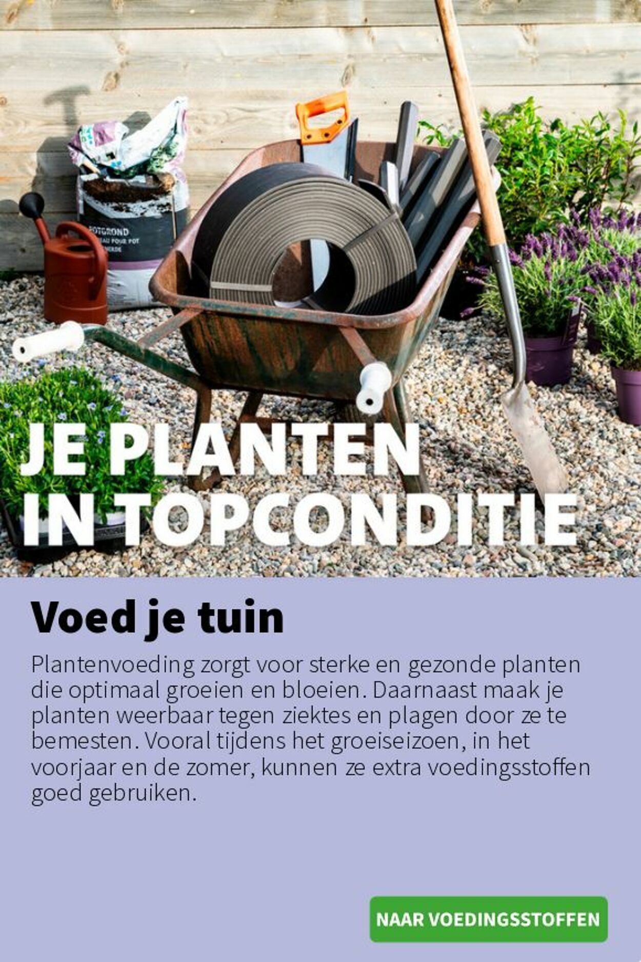Folder Intratuin 02.06.2025 - 08.06.2025
