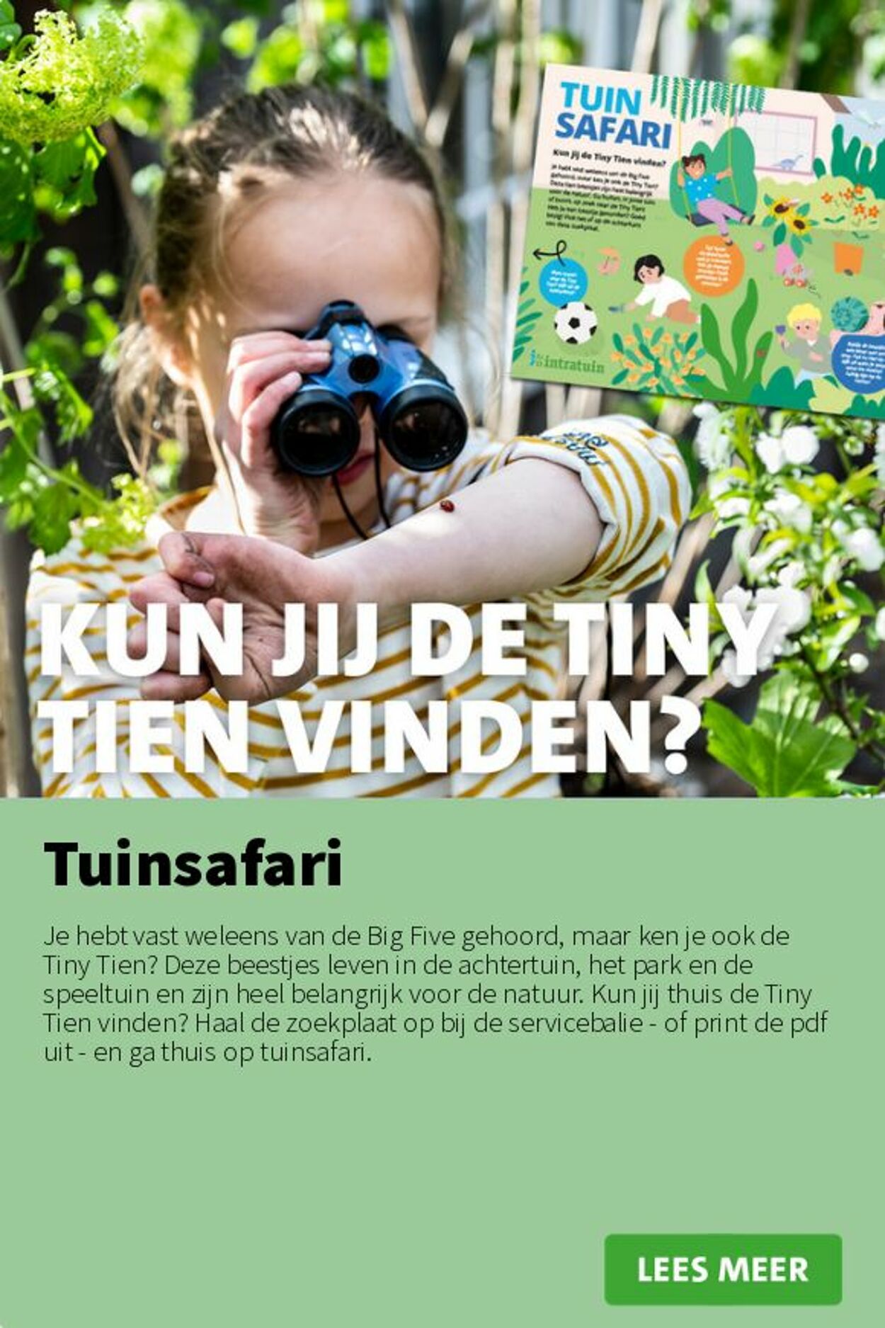Folder Intratuin 02.06.2025 - 08.06.2025