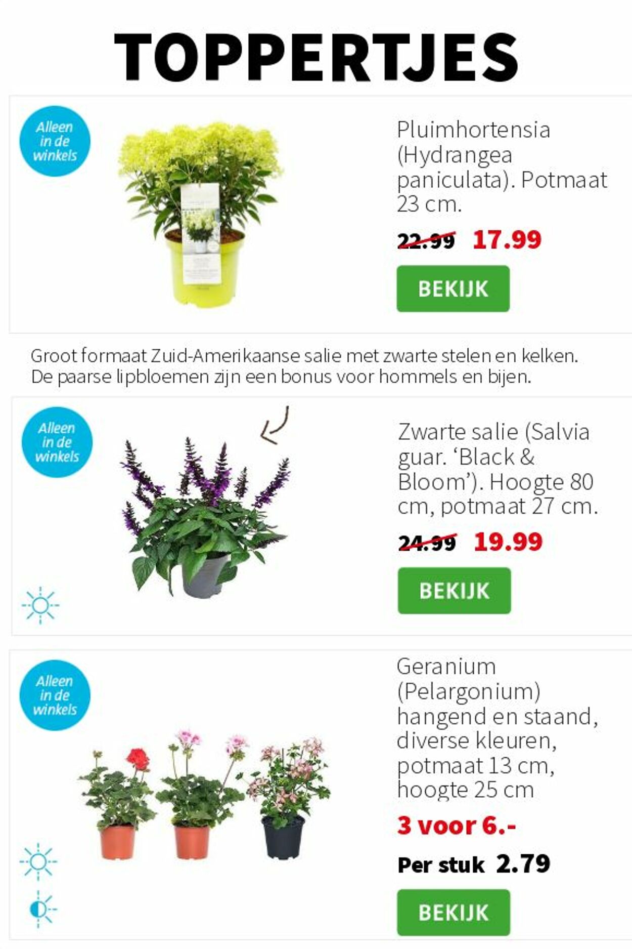 Folder Intratuin 02.06.2025 - 08.06.2025
