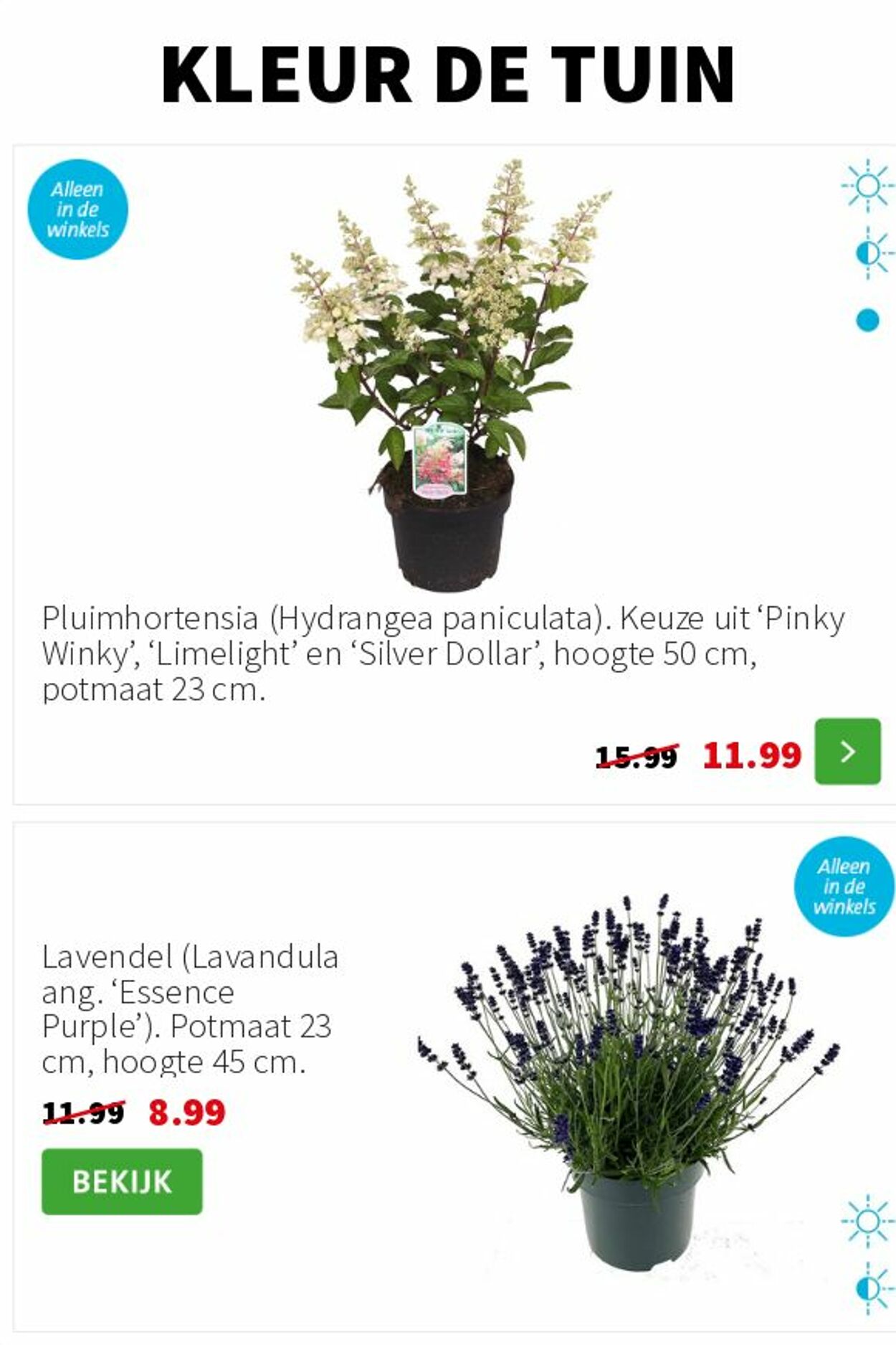 Folder Intratuin 16.06.2025 - 22.06.2025