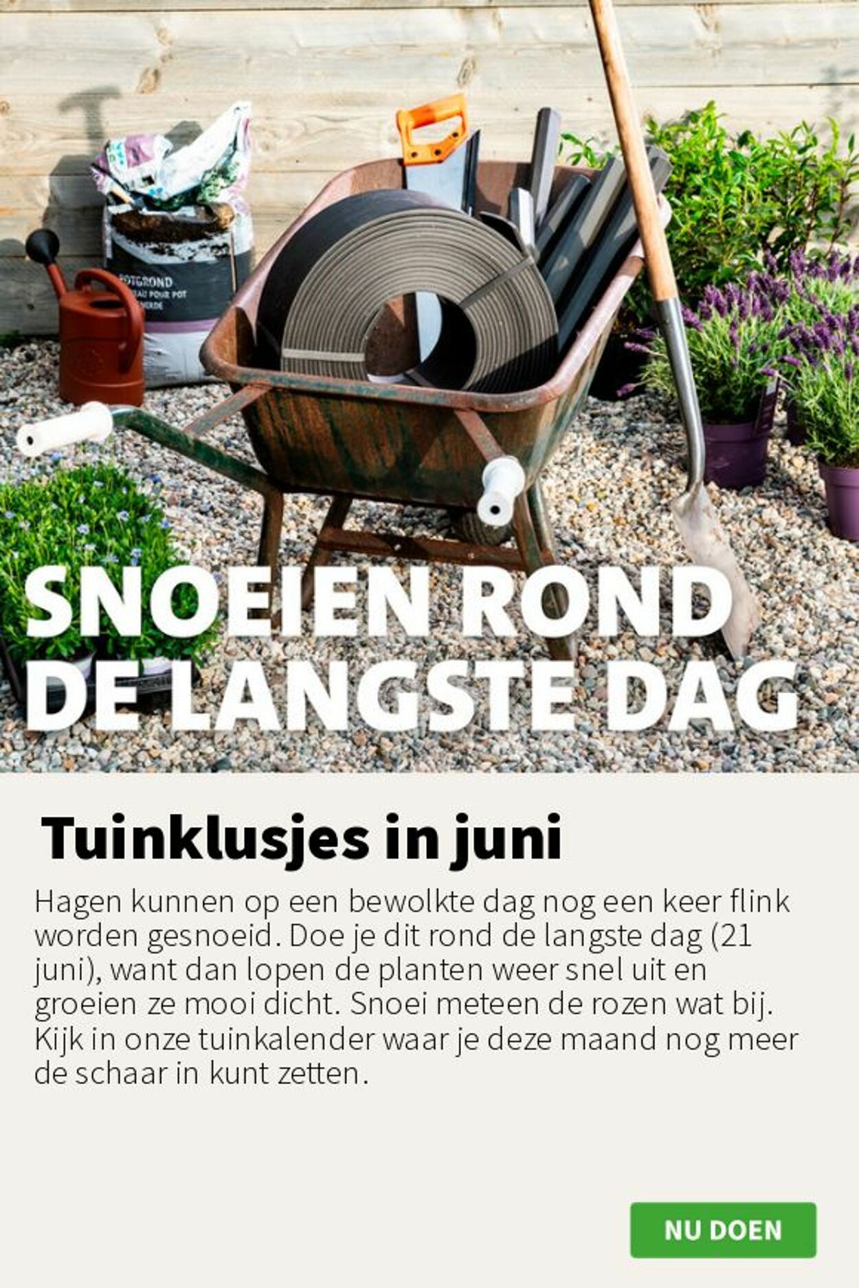 Folder Intratuin 16.06.2025 - 22.06.2025