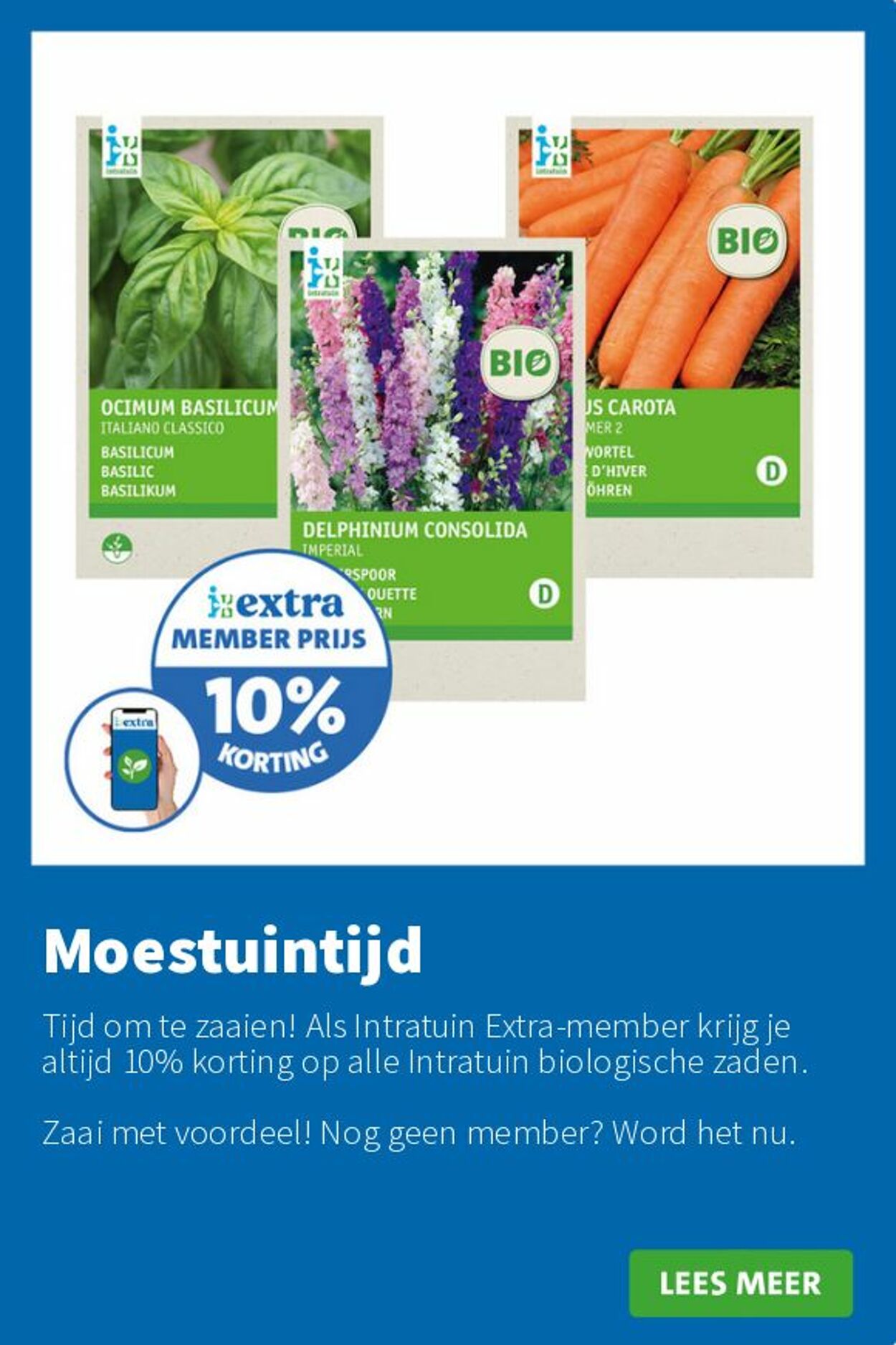 Folder Intratuin 16.06.2025 - 22.06.2025