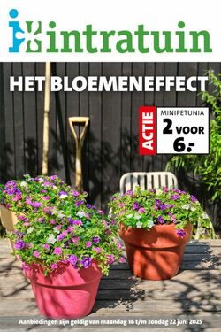Folder Intratuin 16.06.2025 - 22.06.2025