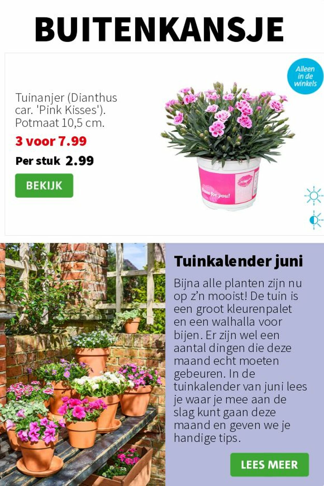 Folder Intratuin 23.06.2025 - 29.06.2025