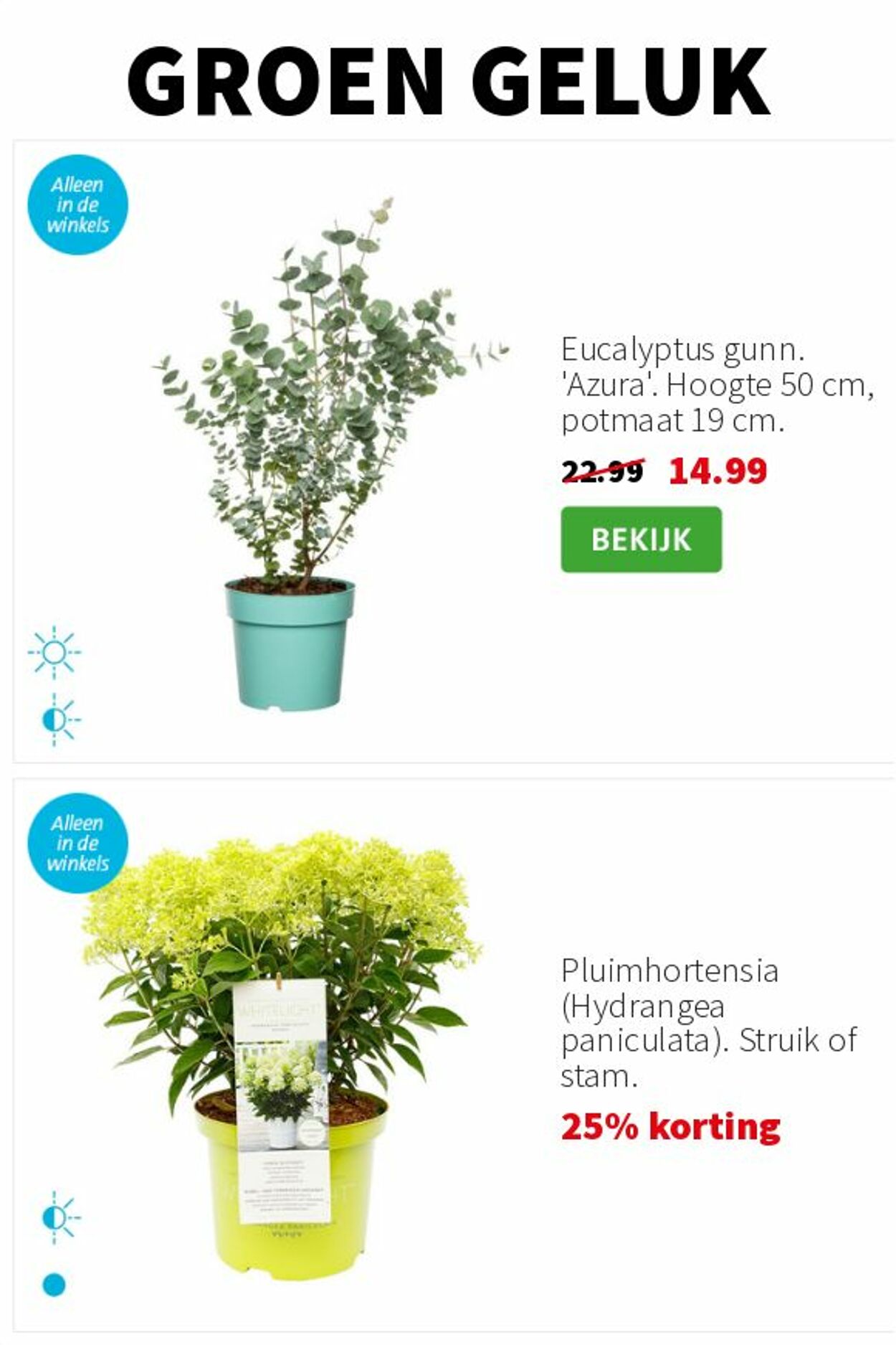 Folder Intratuin 23.06.2025 - 29.06.2025