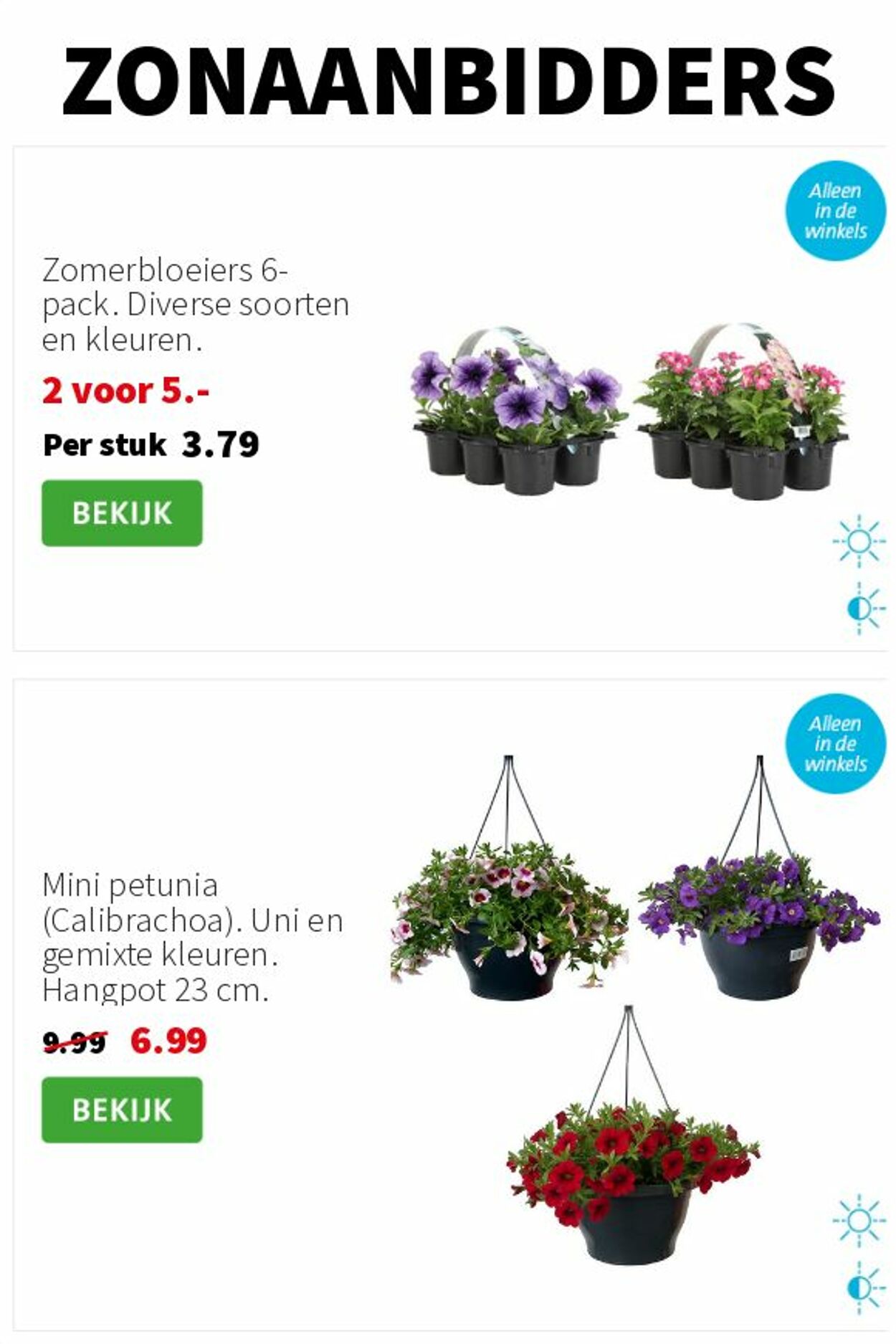 Folder Intratuin 23.06.2025 - 29.06.2025