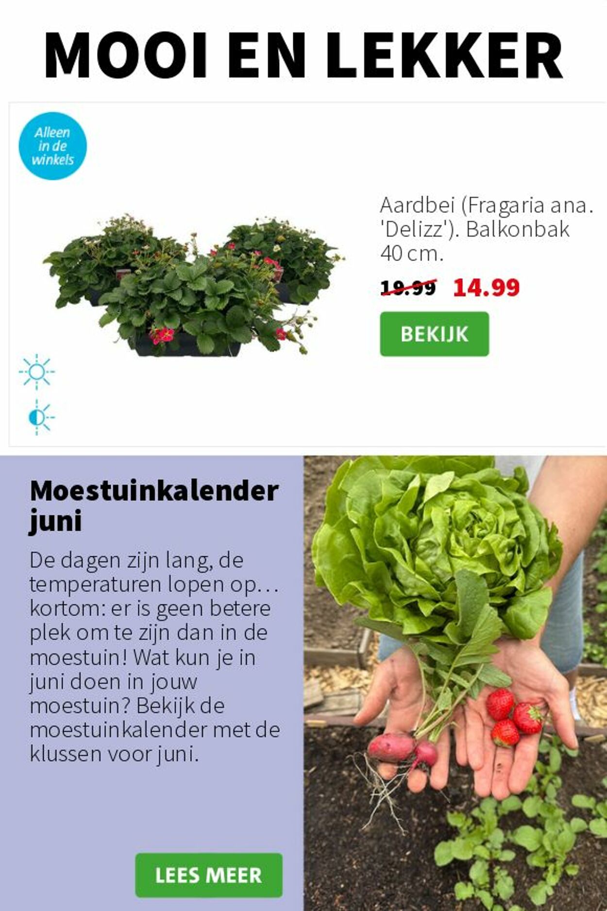 Folder Intratuin 23.06.2025 - 29.06.2025