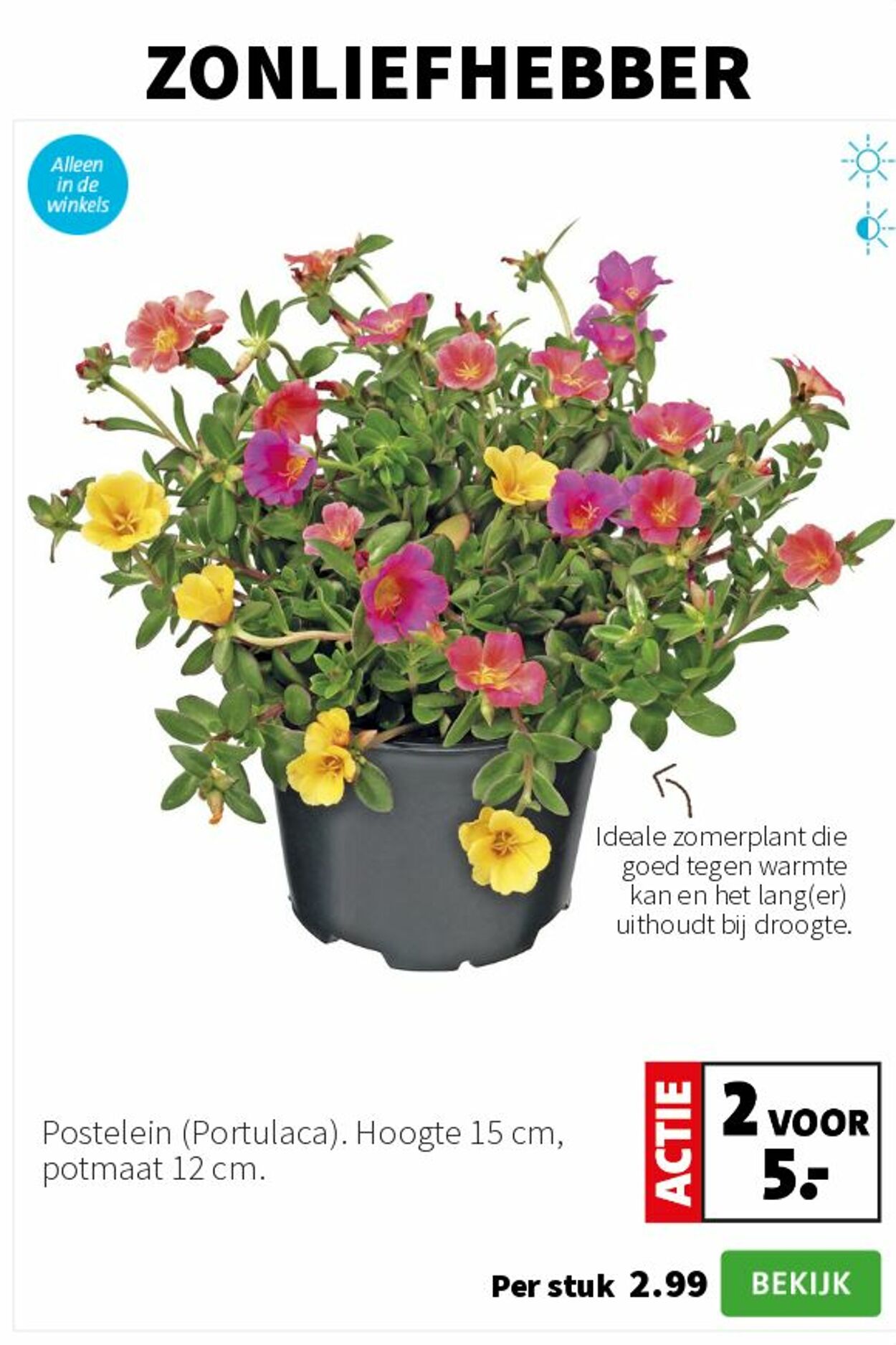 Folder Intratuin 30.06.2025 - 06.07.2025