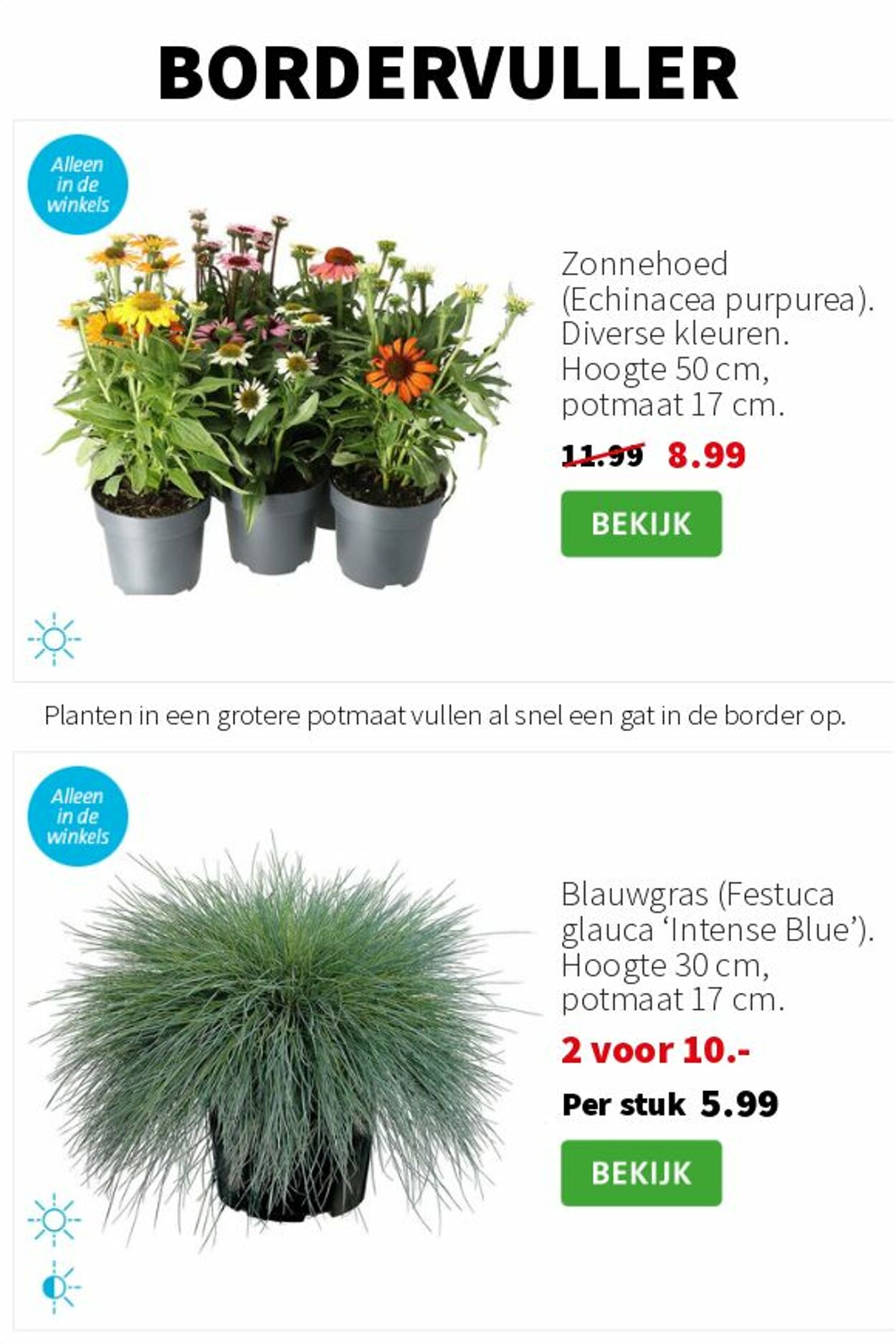 Folder Intratuin 30.06.2025 - 06.07.2025