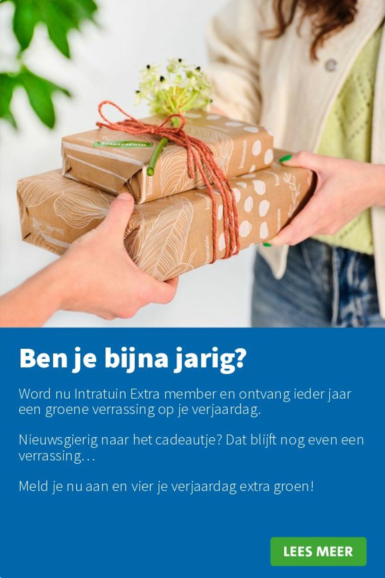 Folder Intratuin 30.06.2025 - 06.07.2025