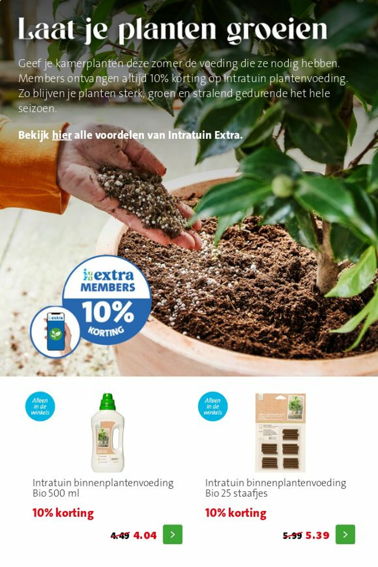 Folder Intratuin 28.06.2026 - 06.07.2026