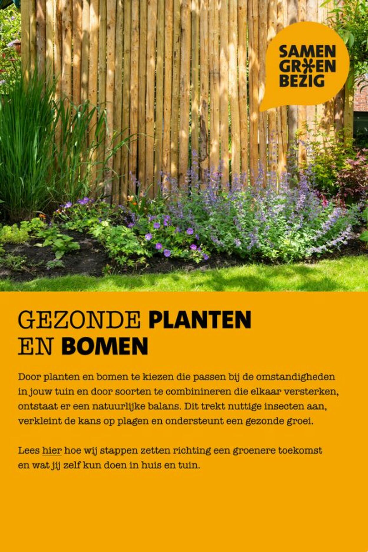 Folder Intratuin 28.06.2026 - 06.07.2026