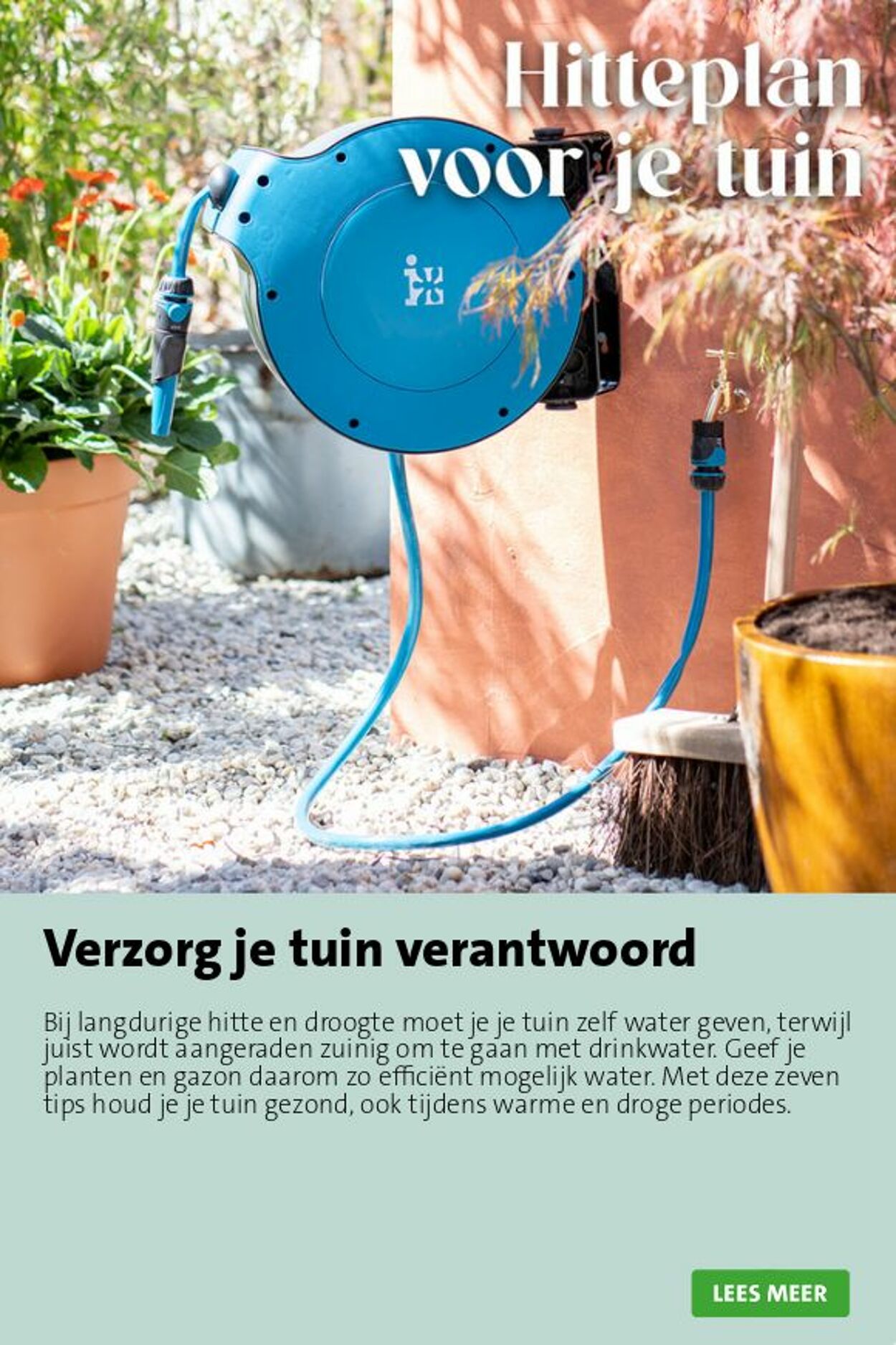 Folder Intratuin 28.06.2026 - 06.07.2026