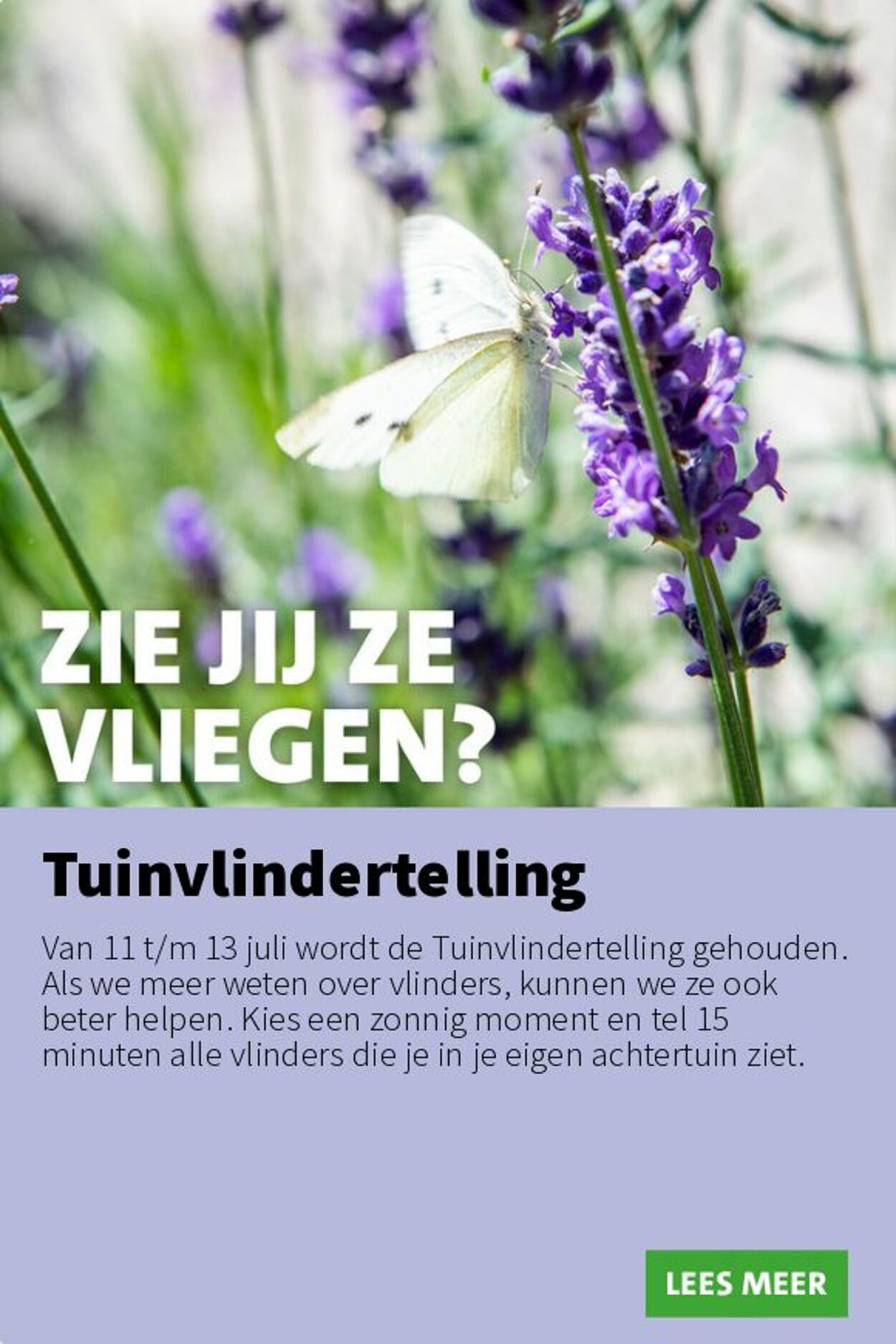 Folder Intratuin 07.07.2025 - 13.07.2025