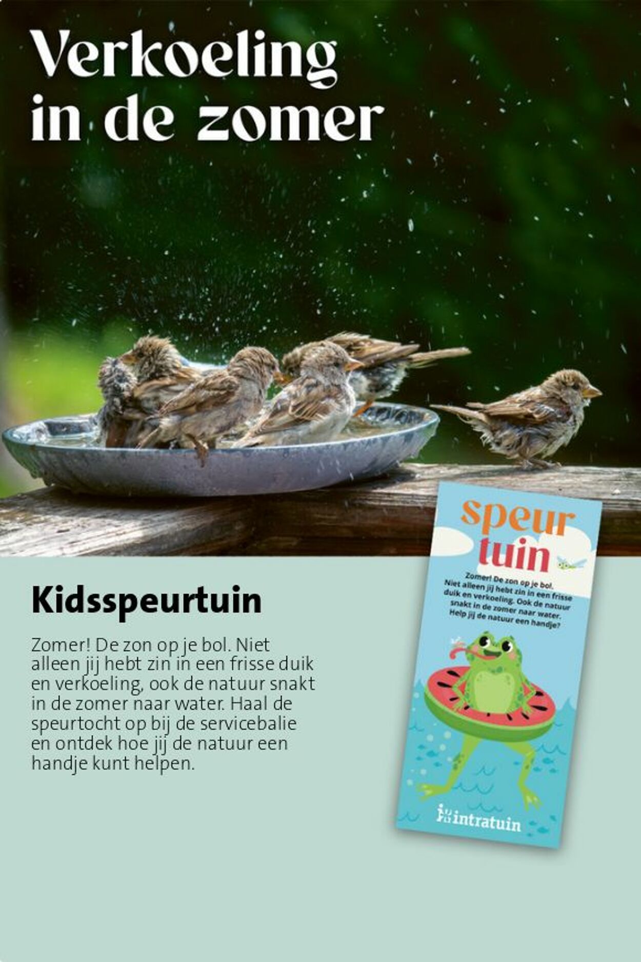 Folder Intratuin 06.07.2026 - 14.07.2026
