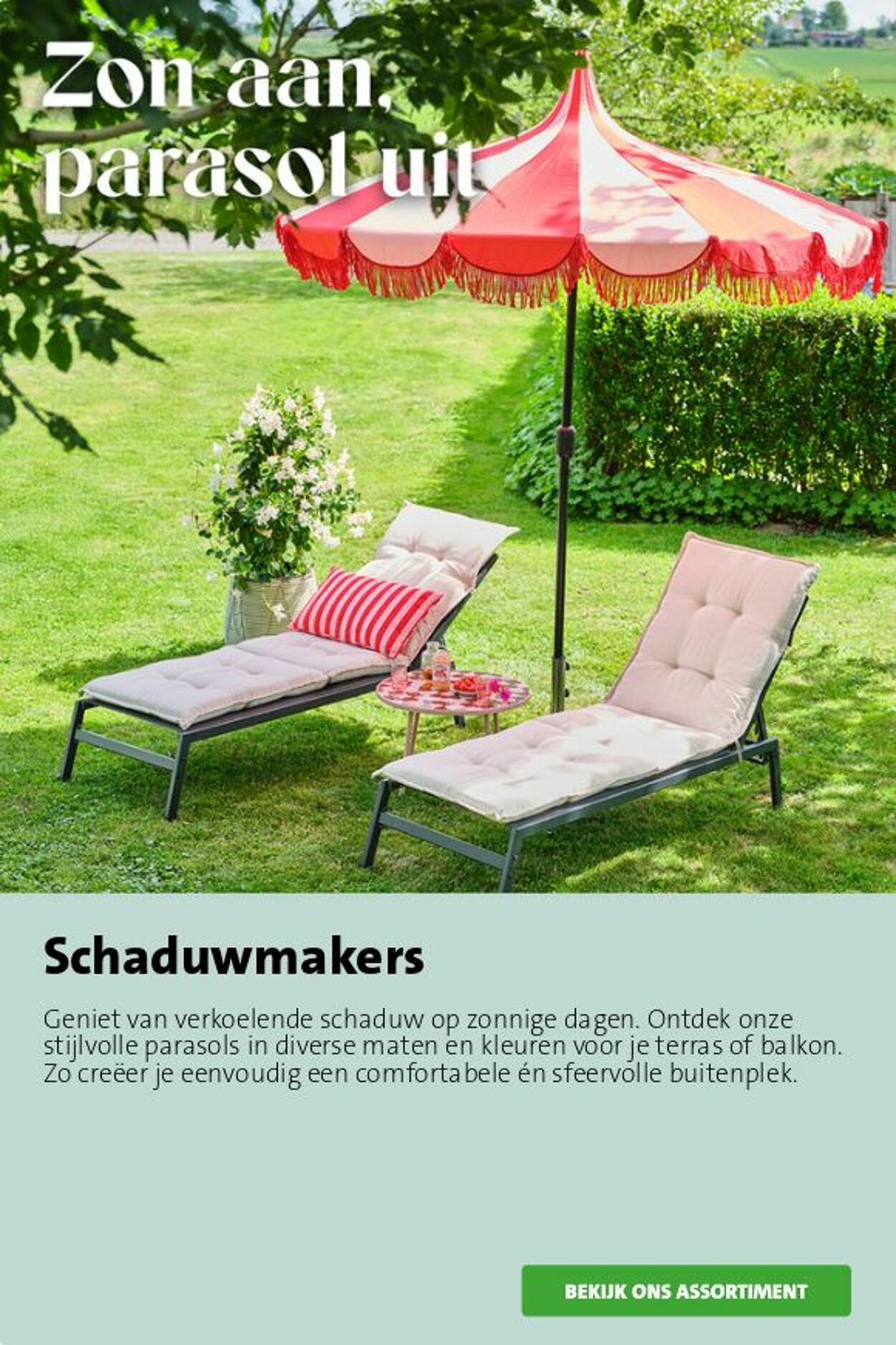 Folder Intratuin 06.07.2026 - 14.07.2026