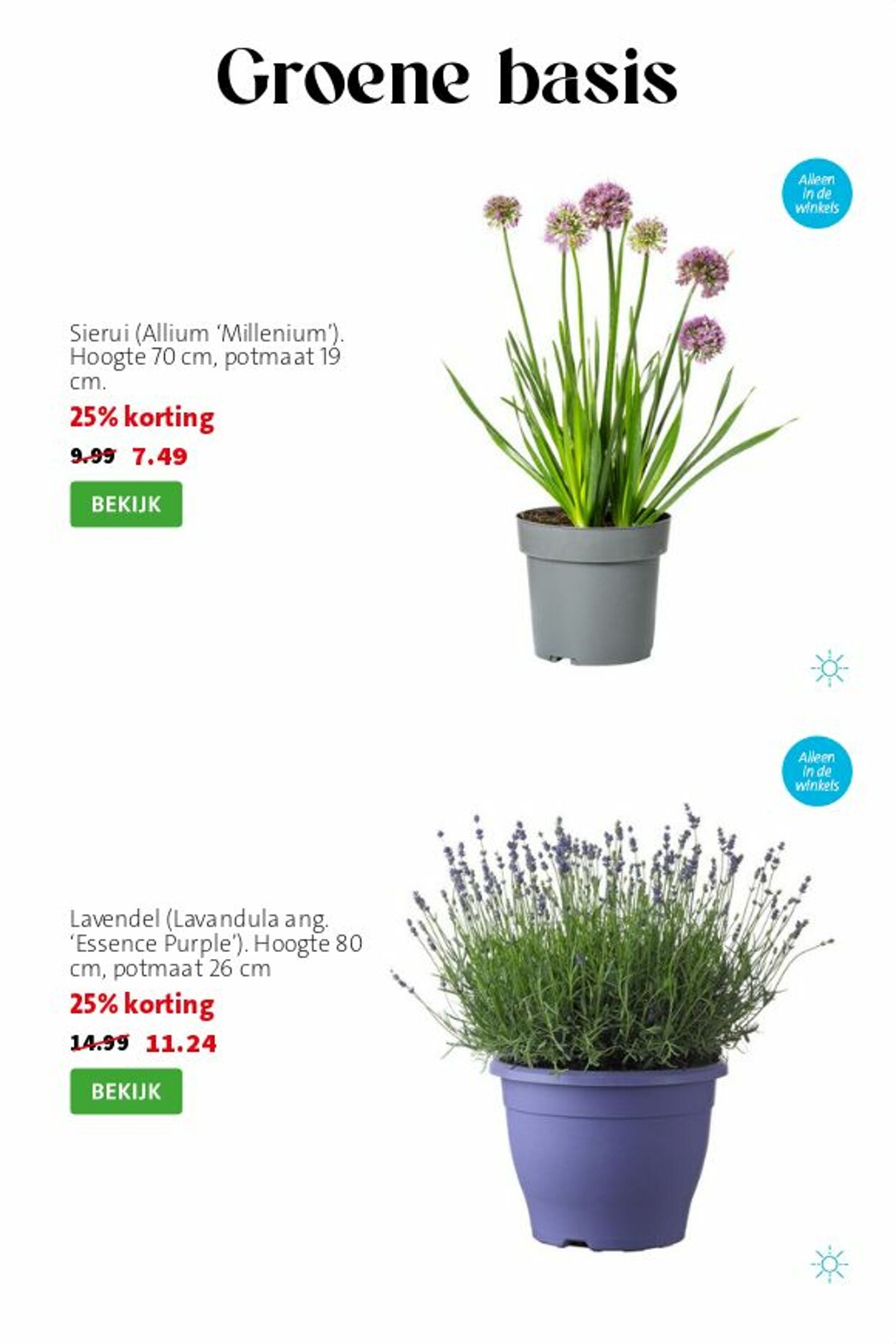 Folder Intratuin 06.07.2026 - 14.07.2026