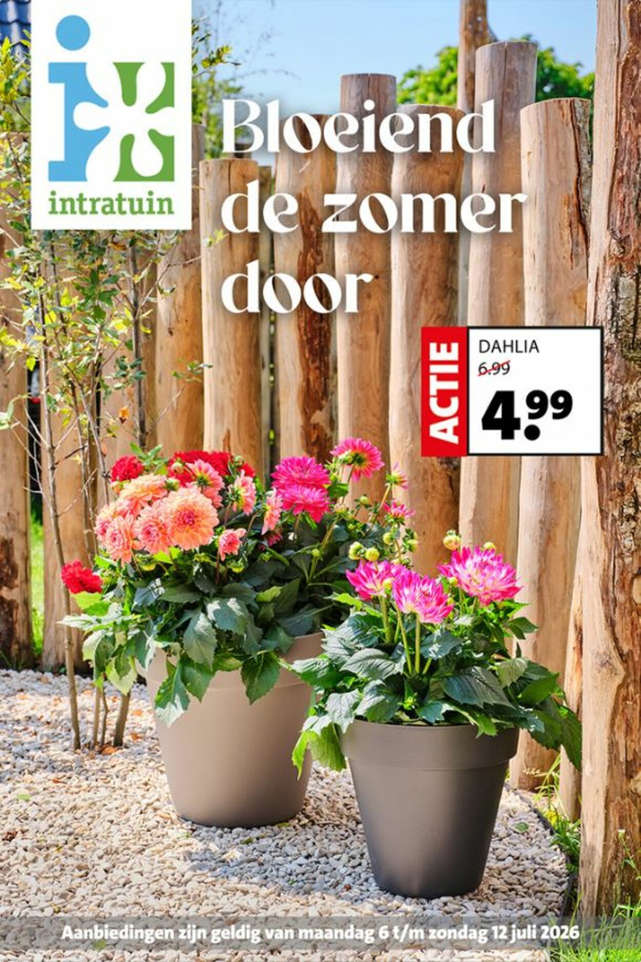 Folder Intratuin - Intratuin-nl - Folder week 28 2026 NL dyn  - Pagina 16 6 jul., 2026 - 14 jul., 2026