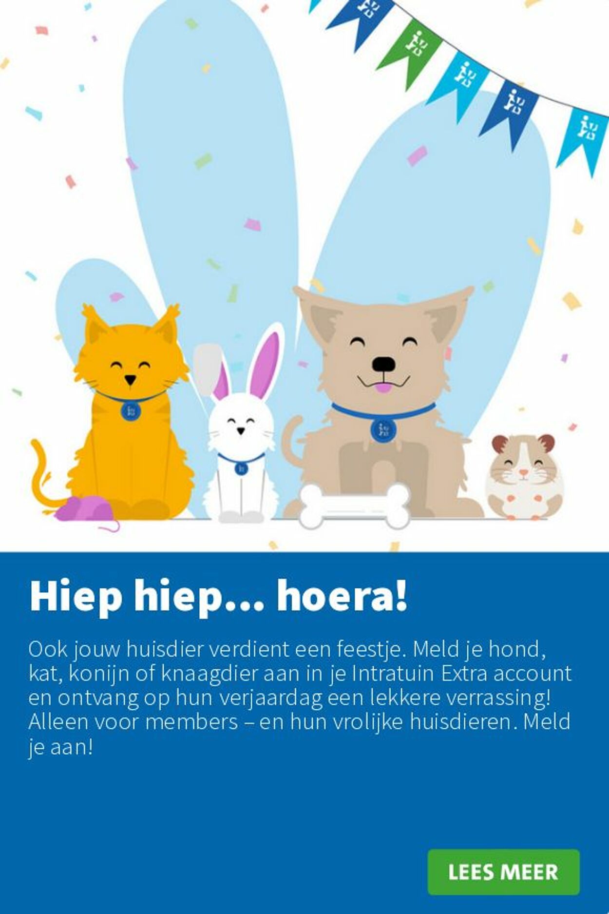 Folder Intratuin 14.07.2025 - 20.07.2025