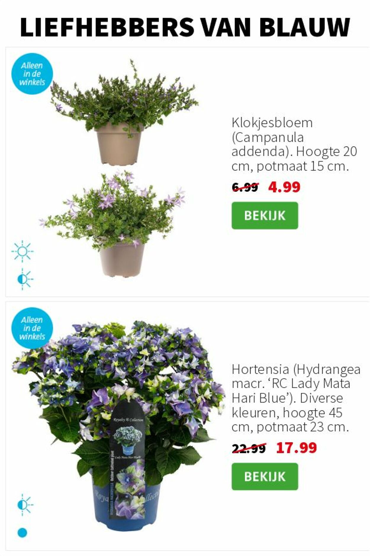 Folder Intratuin 14.07.2025 - 20.07.2025