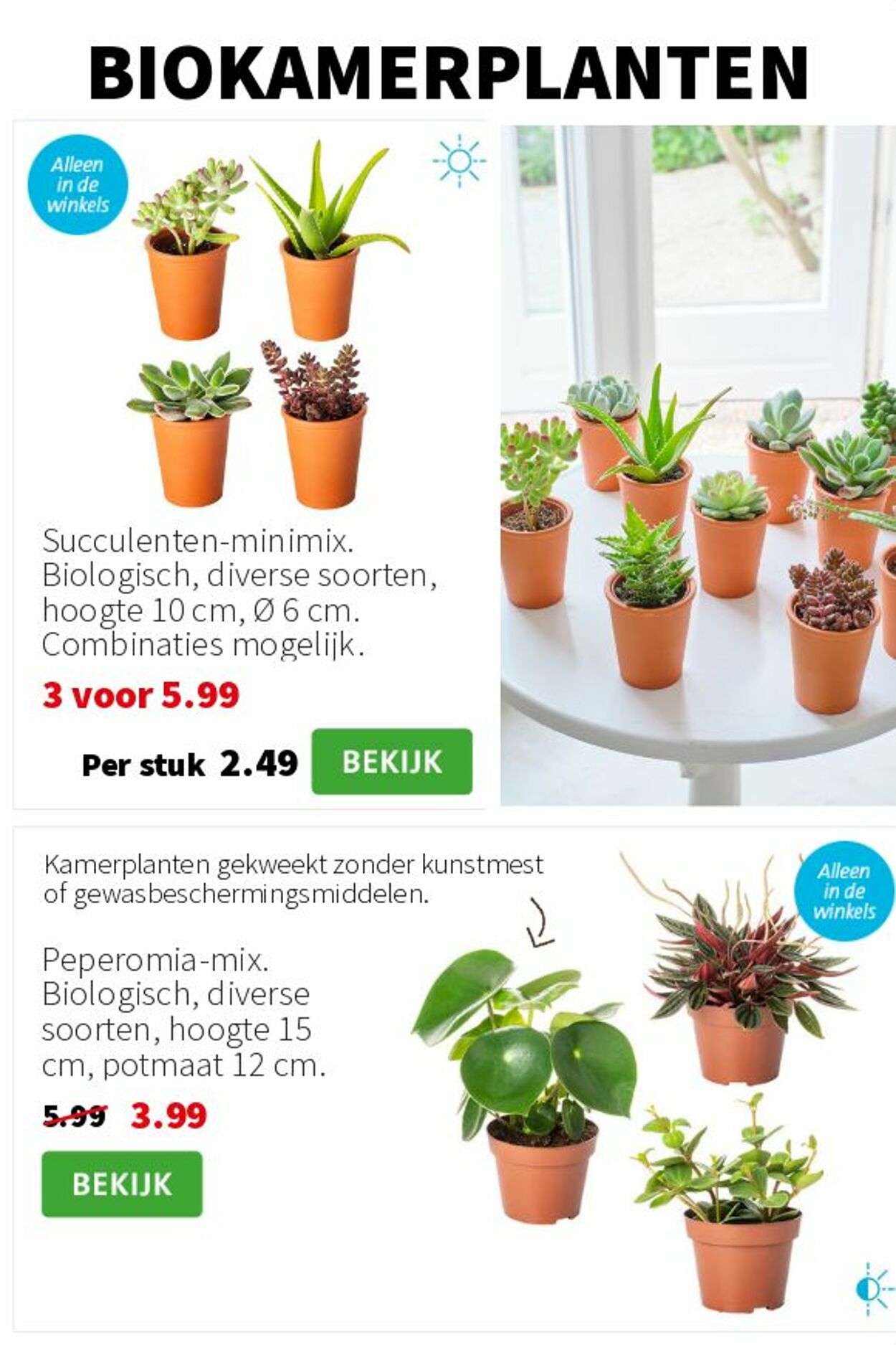 Folder Intratuin 14.07.2025 - 20.07.2025
