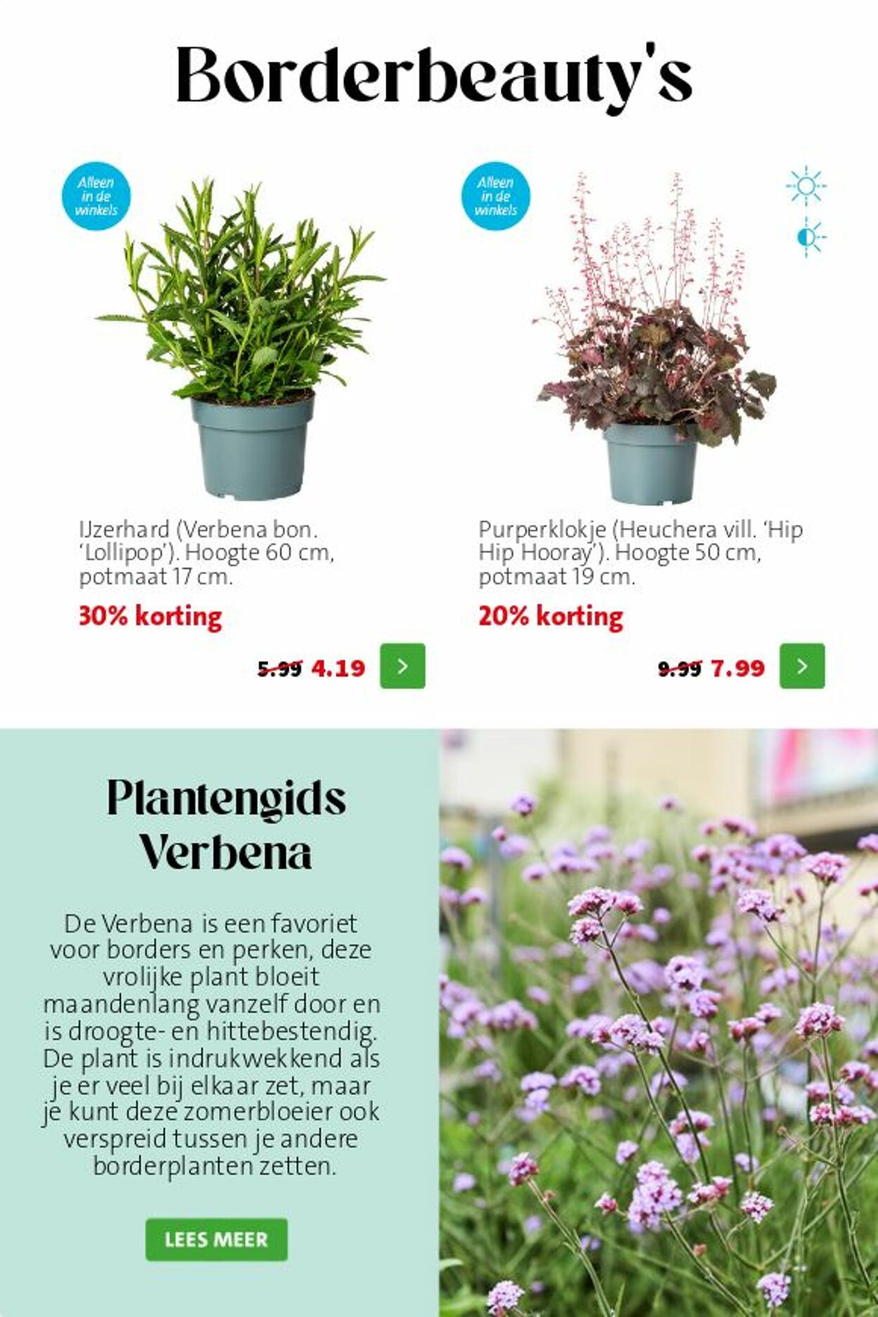 Folder Intratuin 19.07.2026 - 27.07.2026