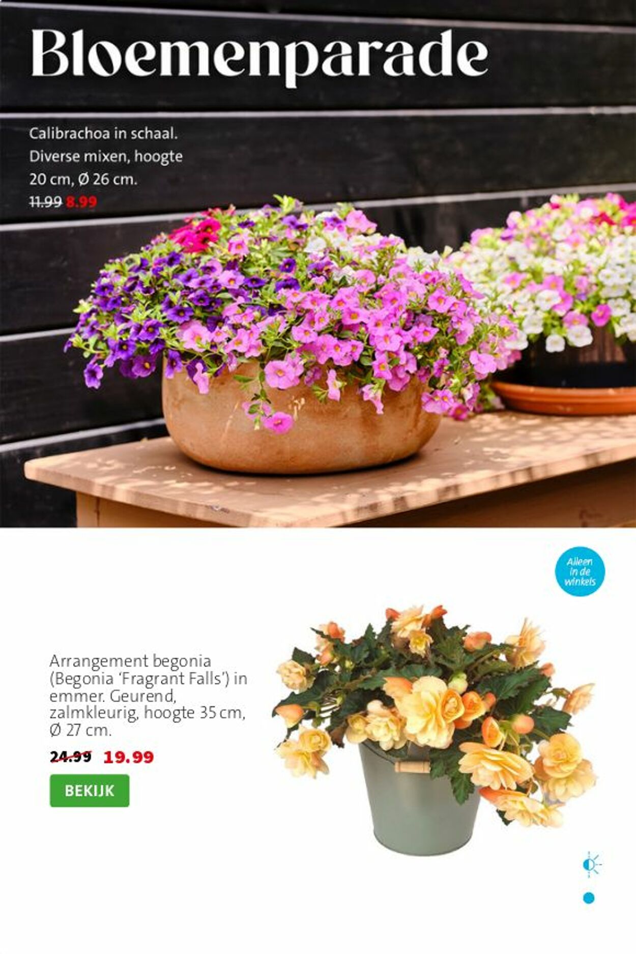 Folder Intratuin 19.07.2026 - 27.07.2026