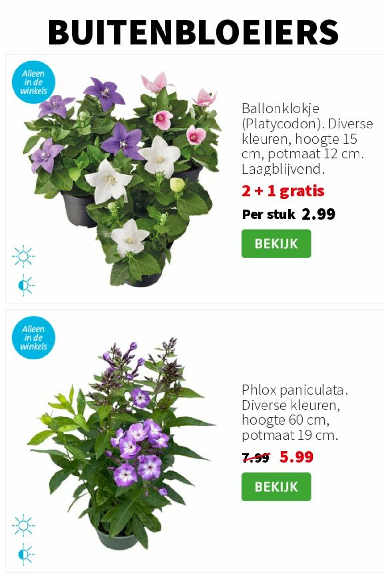 Folder Intratuin 11.08.2025 - 17.08.2025
