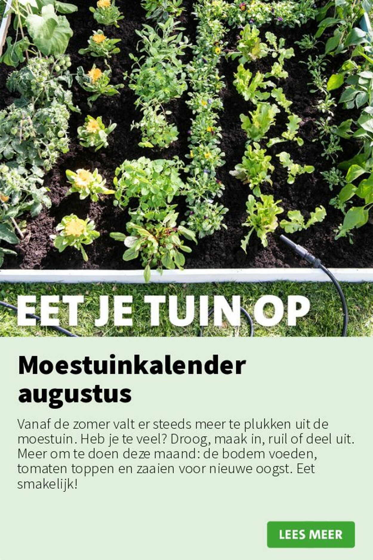 Folder Intratuin 11.08.2025 - 17.08.2025
