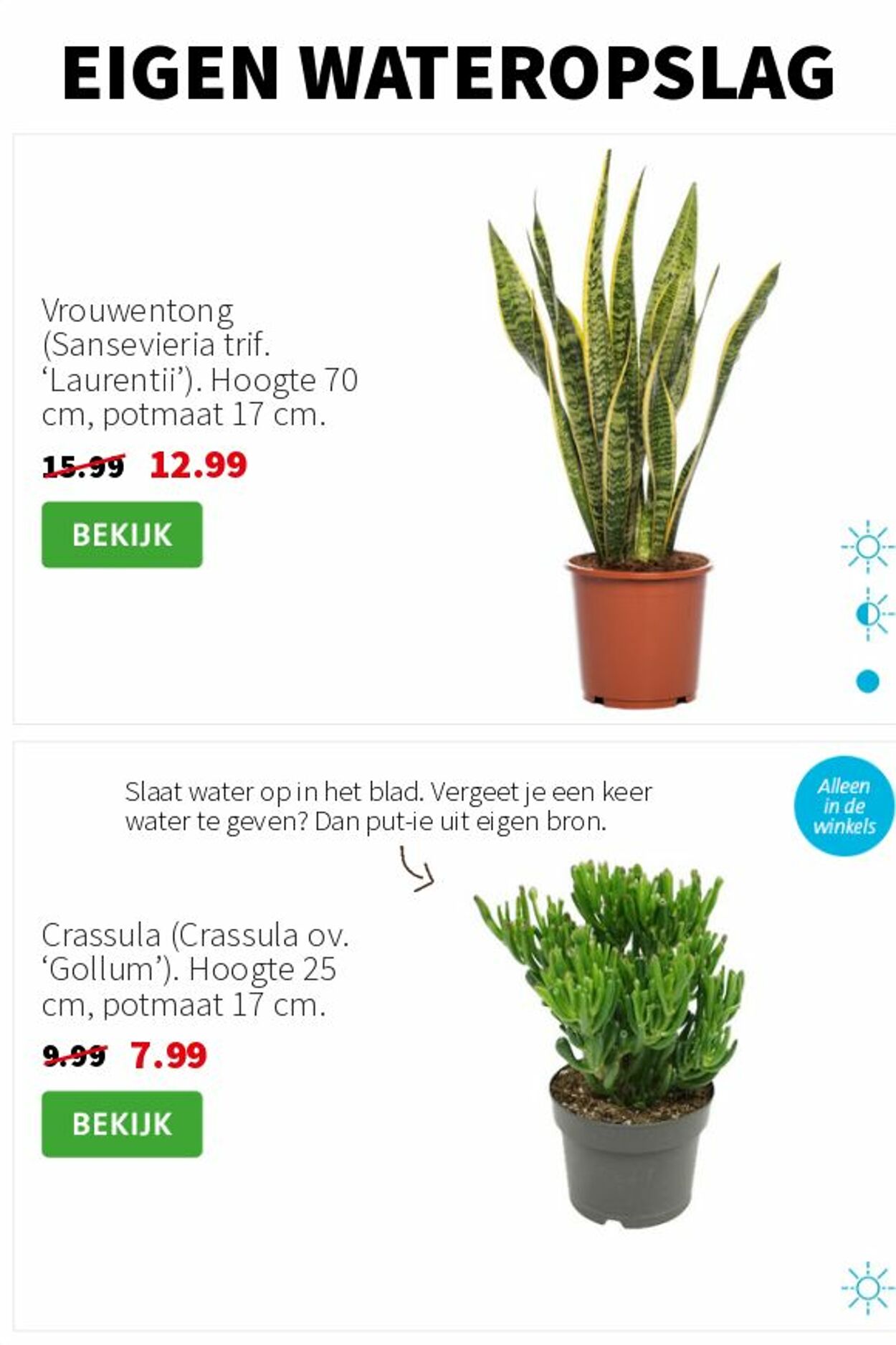 Folder Intratuin 11.08.2025 - 17.08.2025