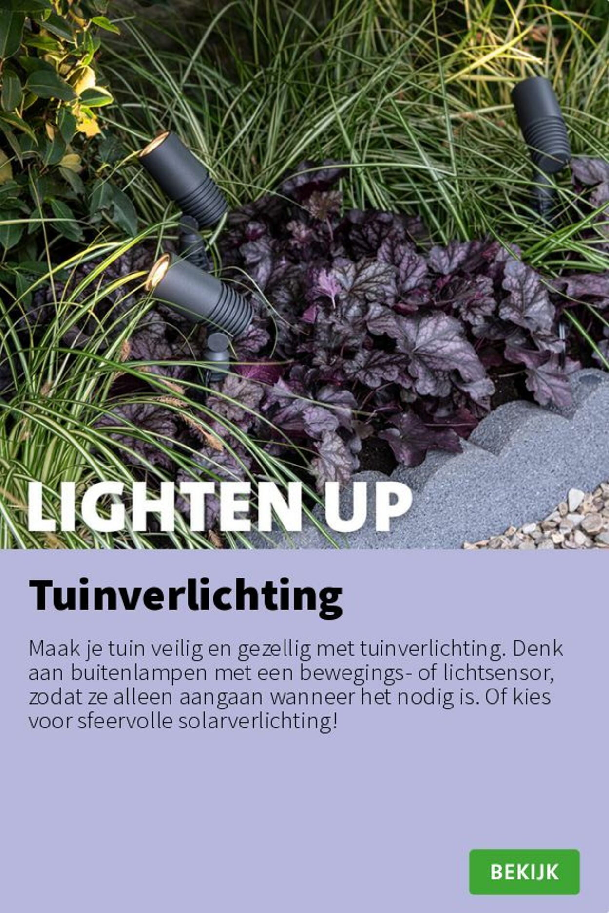 Folder Intratuin 11.08.2025 - 17.08.2025