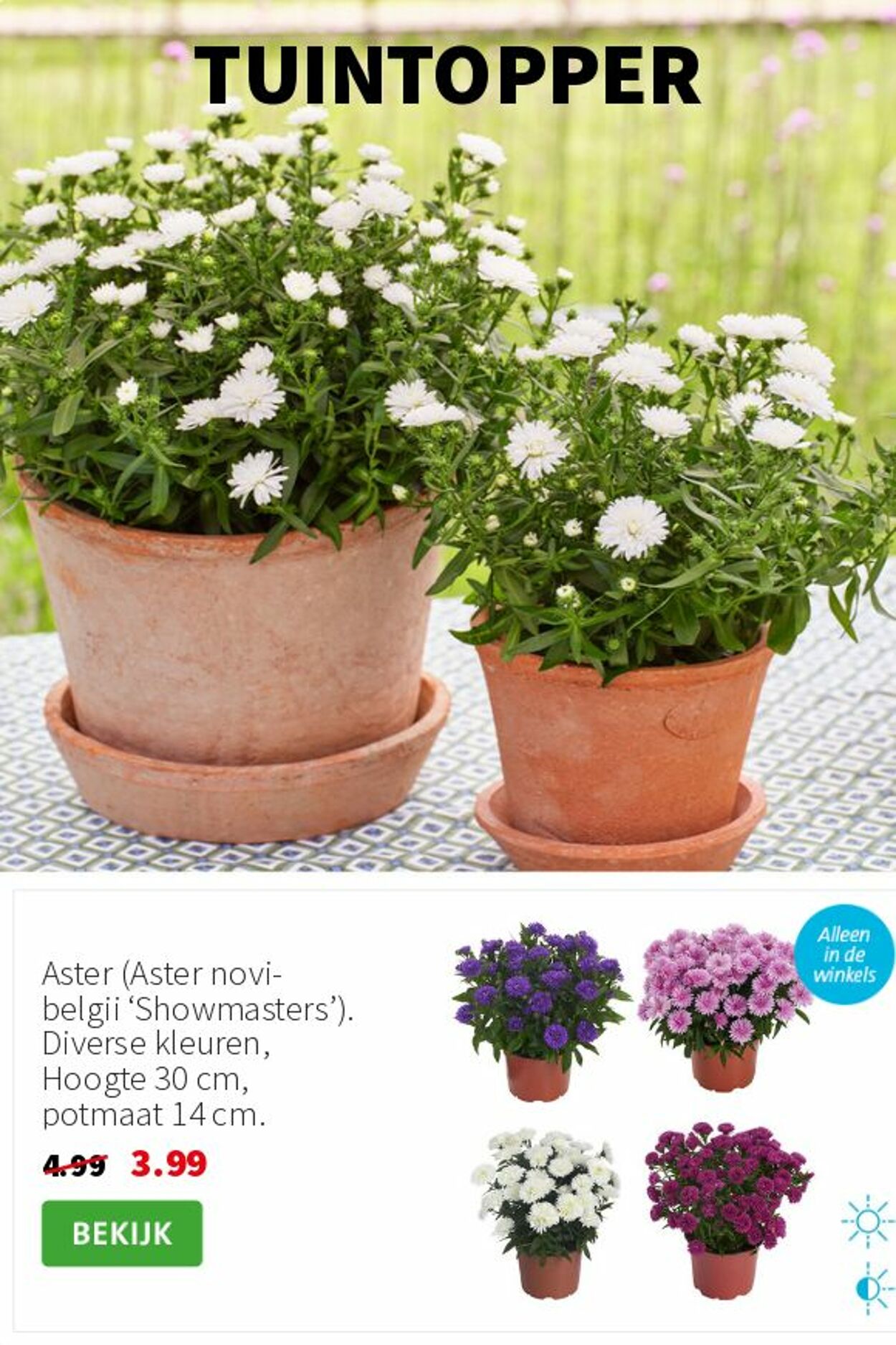Folder Intratuin 25.08.2025 - 31.08.2025