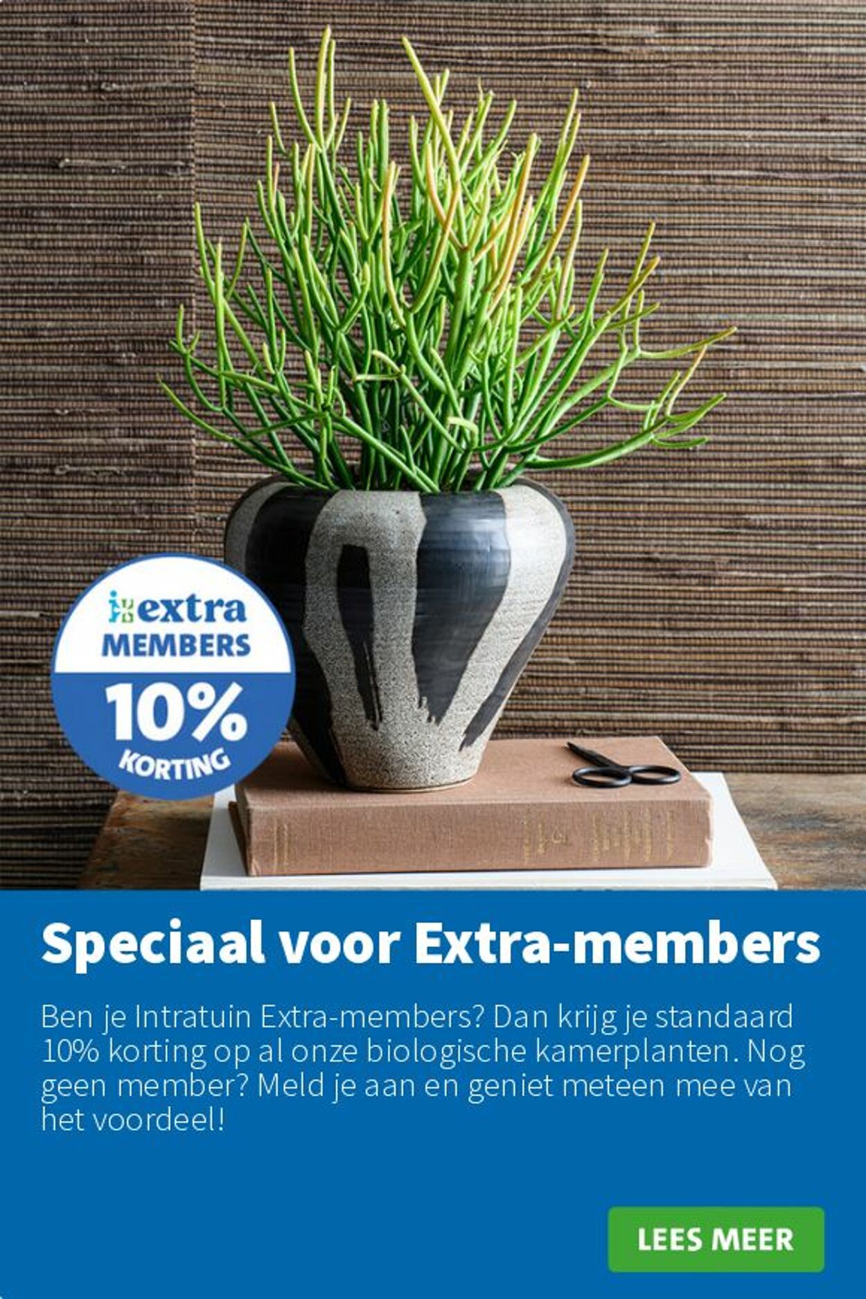 Folder Intratuin 25.08.2025 - 31.08.2025