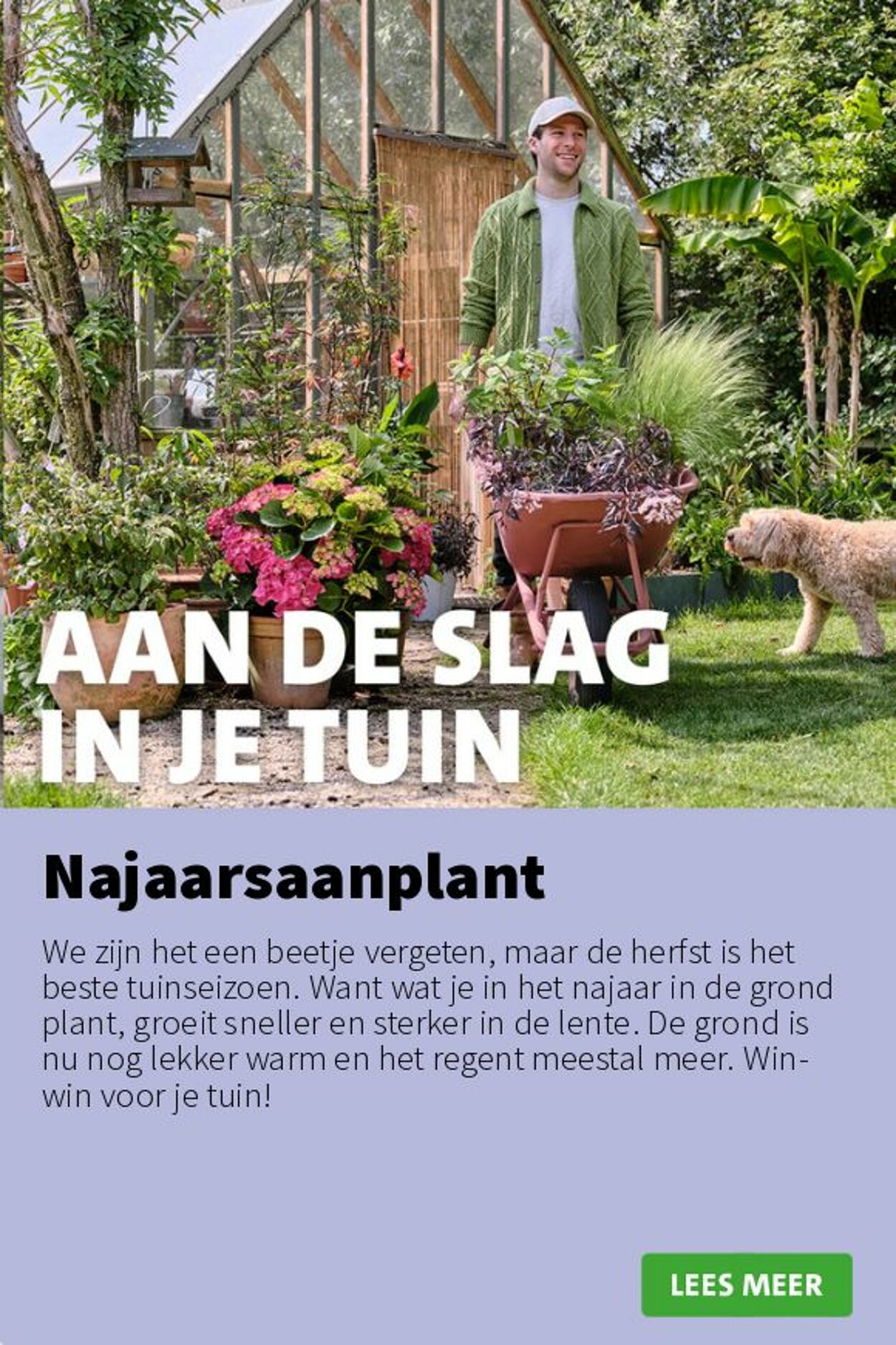 Folder Intratuin 01.09.2025 - 07.09.2025