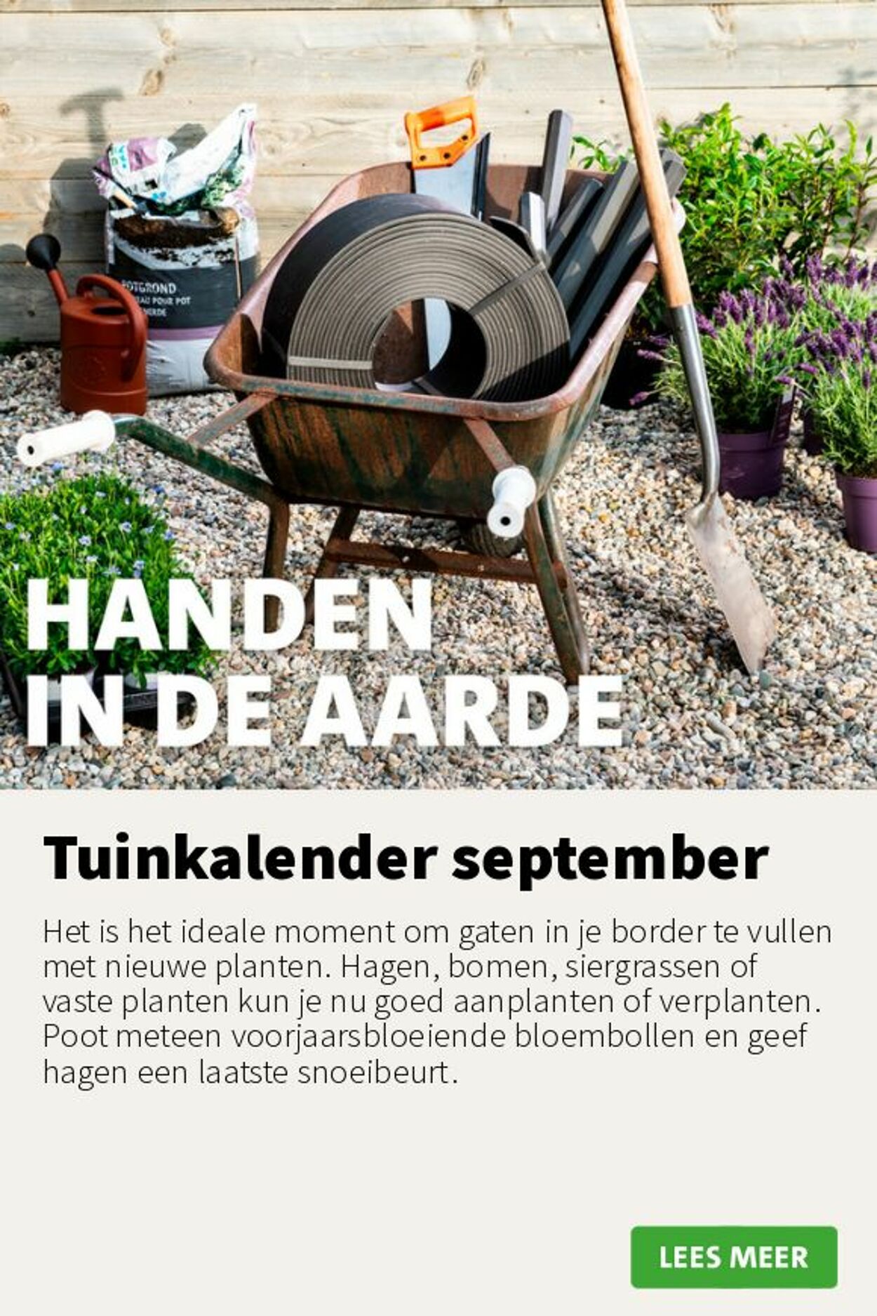 Folder Intratuin 01.09.2025 - 07.09.2025