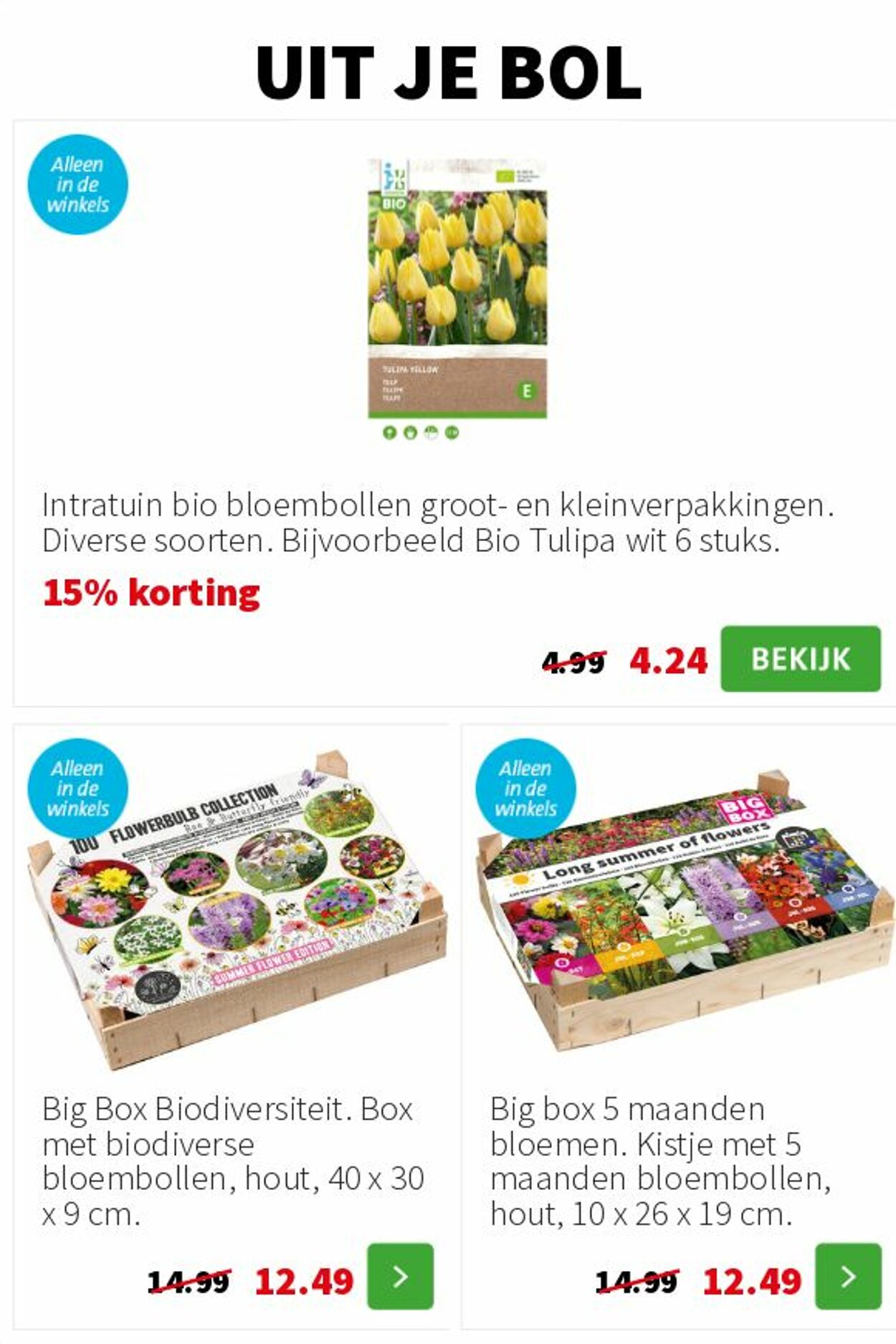 Folder Intratuin 01.09.2025 - 07.09.2025