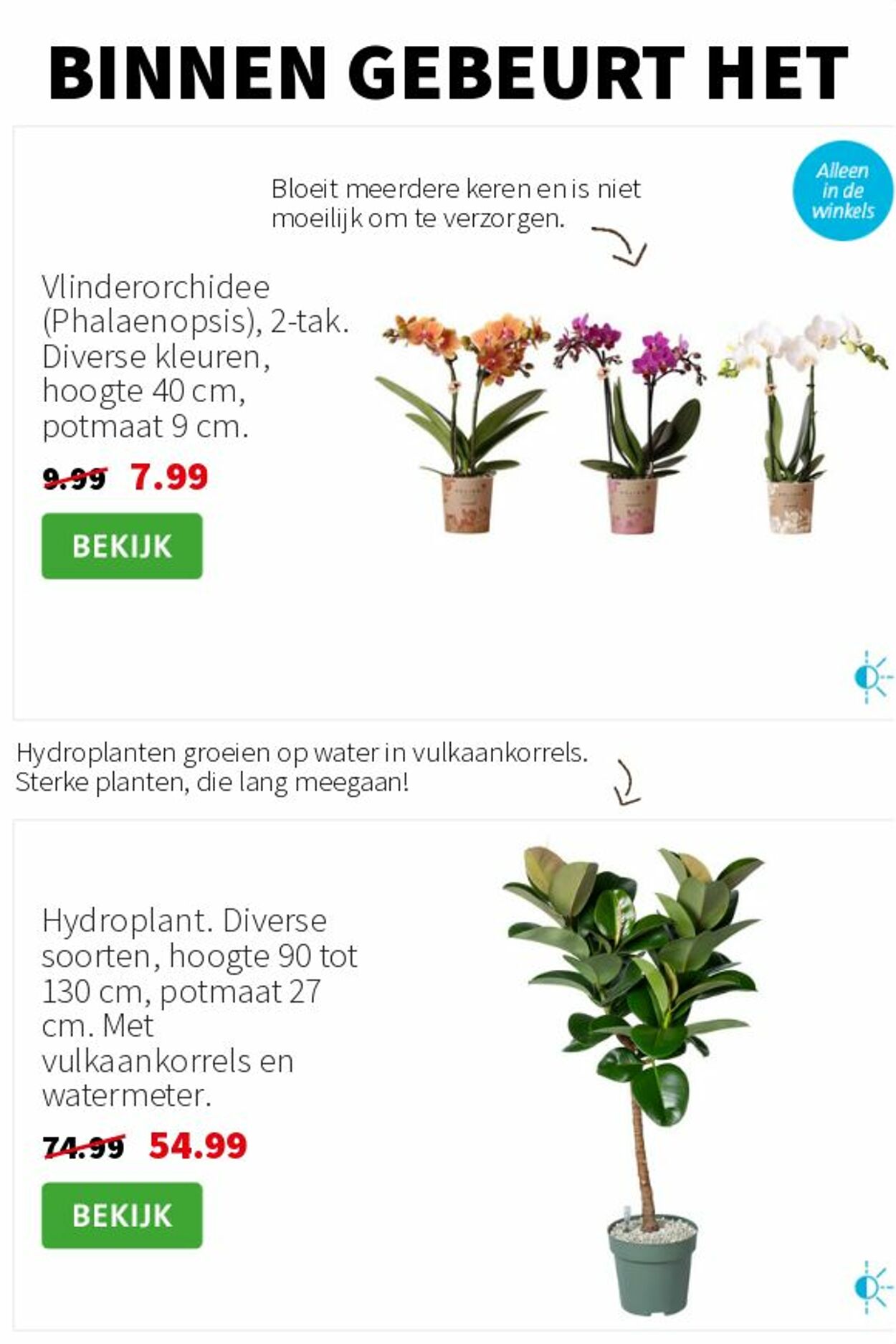 Folder Intratuin 01.09.2025 - 07.09.2025