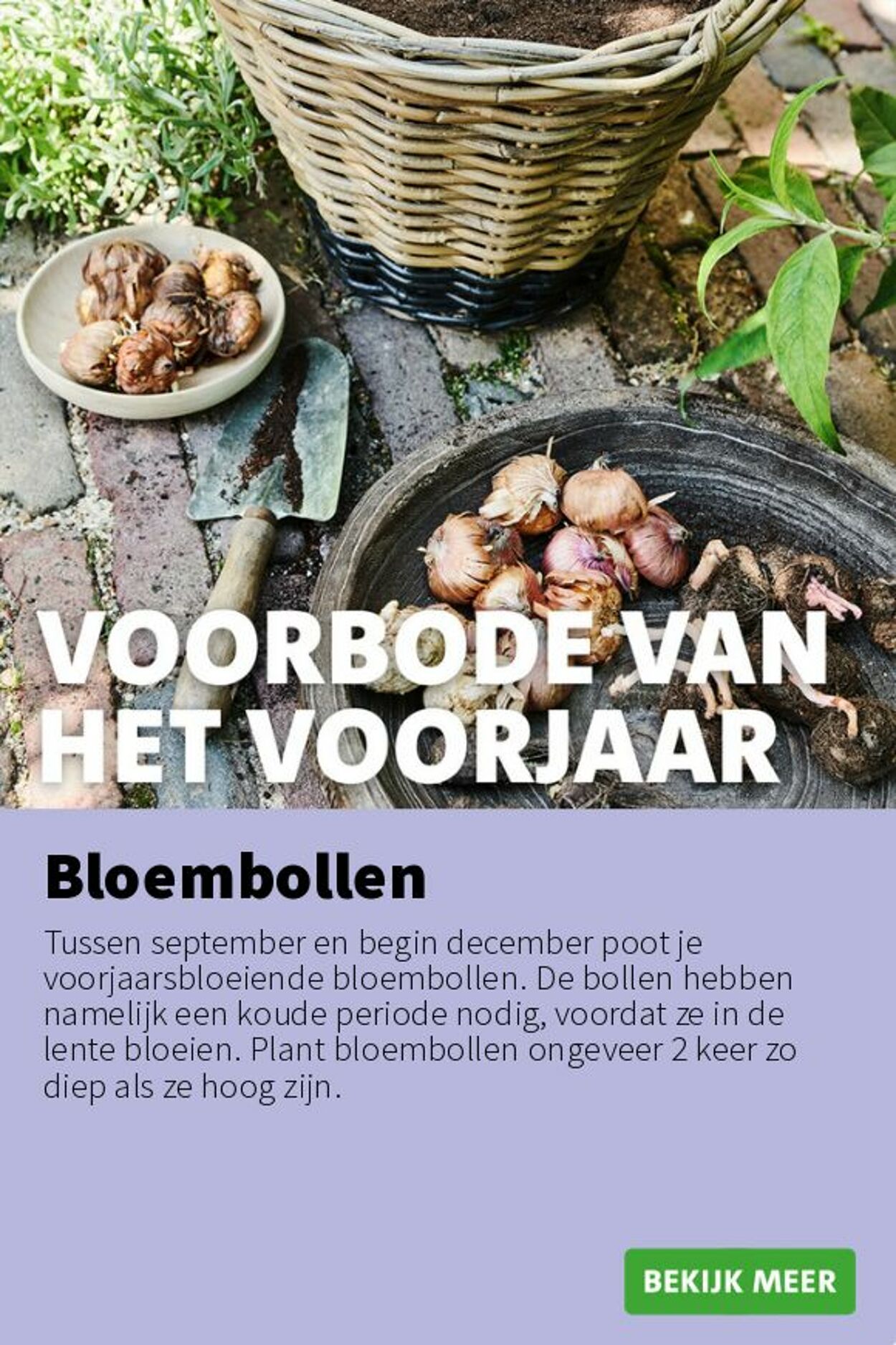 Folder Intratuin 08.09.2025 - 14.09.2025