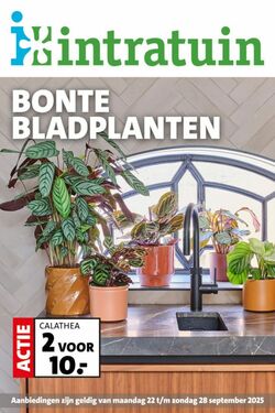Folder Intratuin 22.09.2025 - 28.09.2025