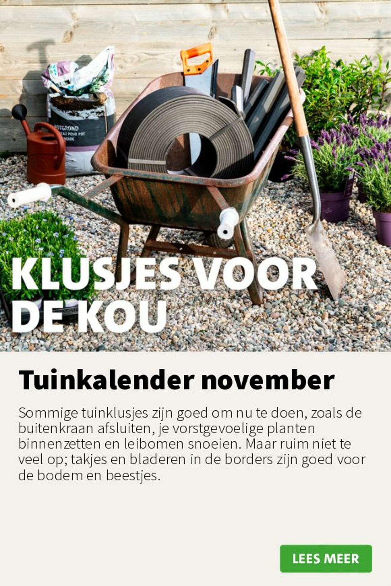 Folder Intratuin 10.11.2025 - 16.11.2025