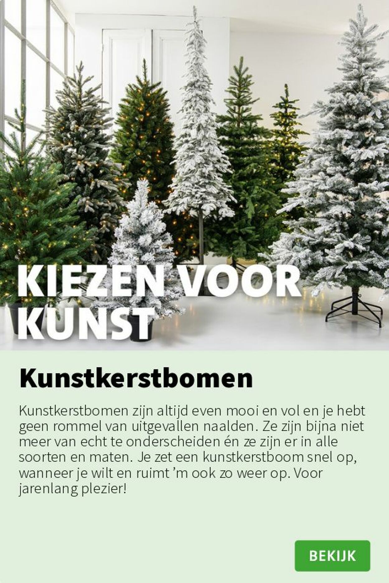 Folder Intratuin 10.11.2025 - 16.11.2025