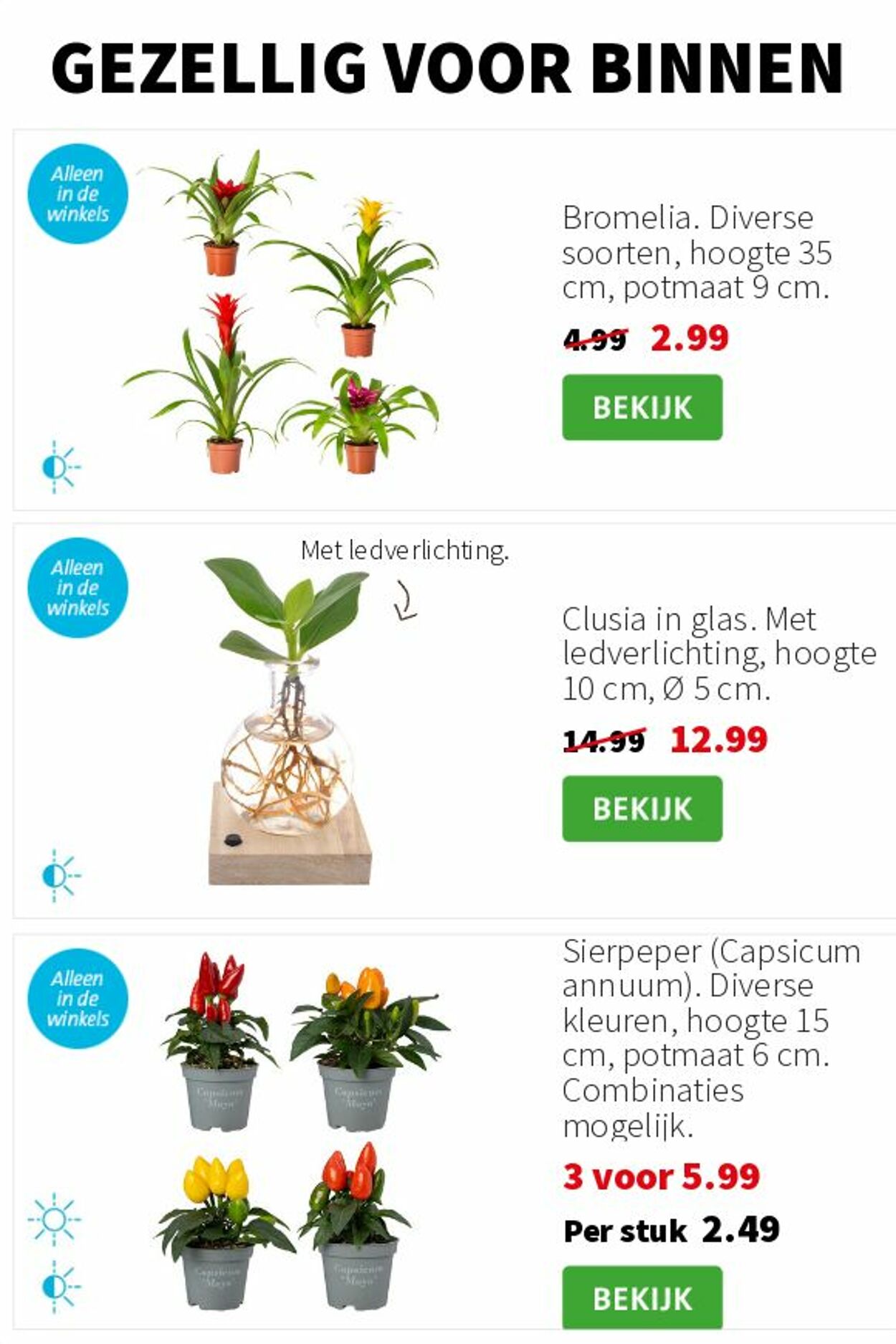 Folder Intratuin 10.11.2025 - 16.11.2025